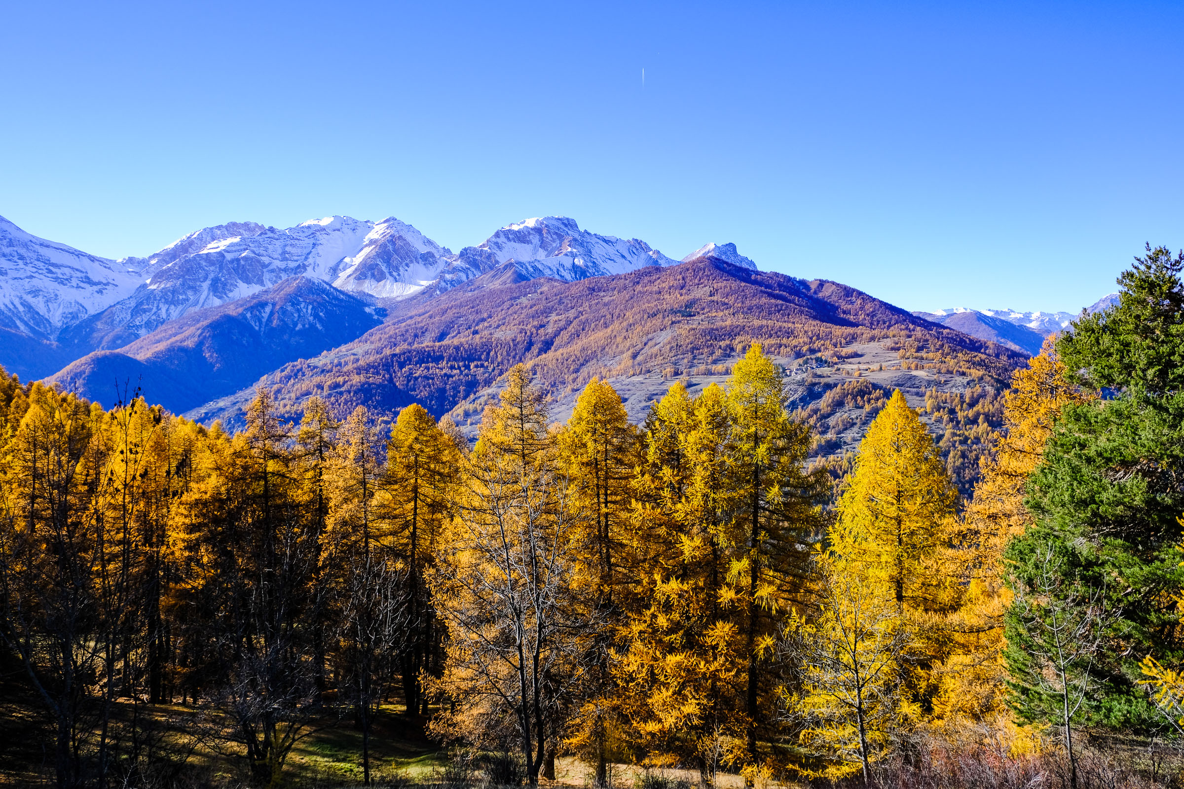 Montagna d'autunno