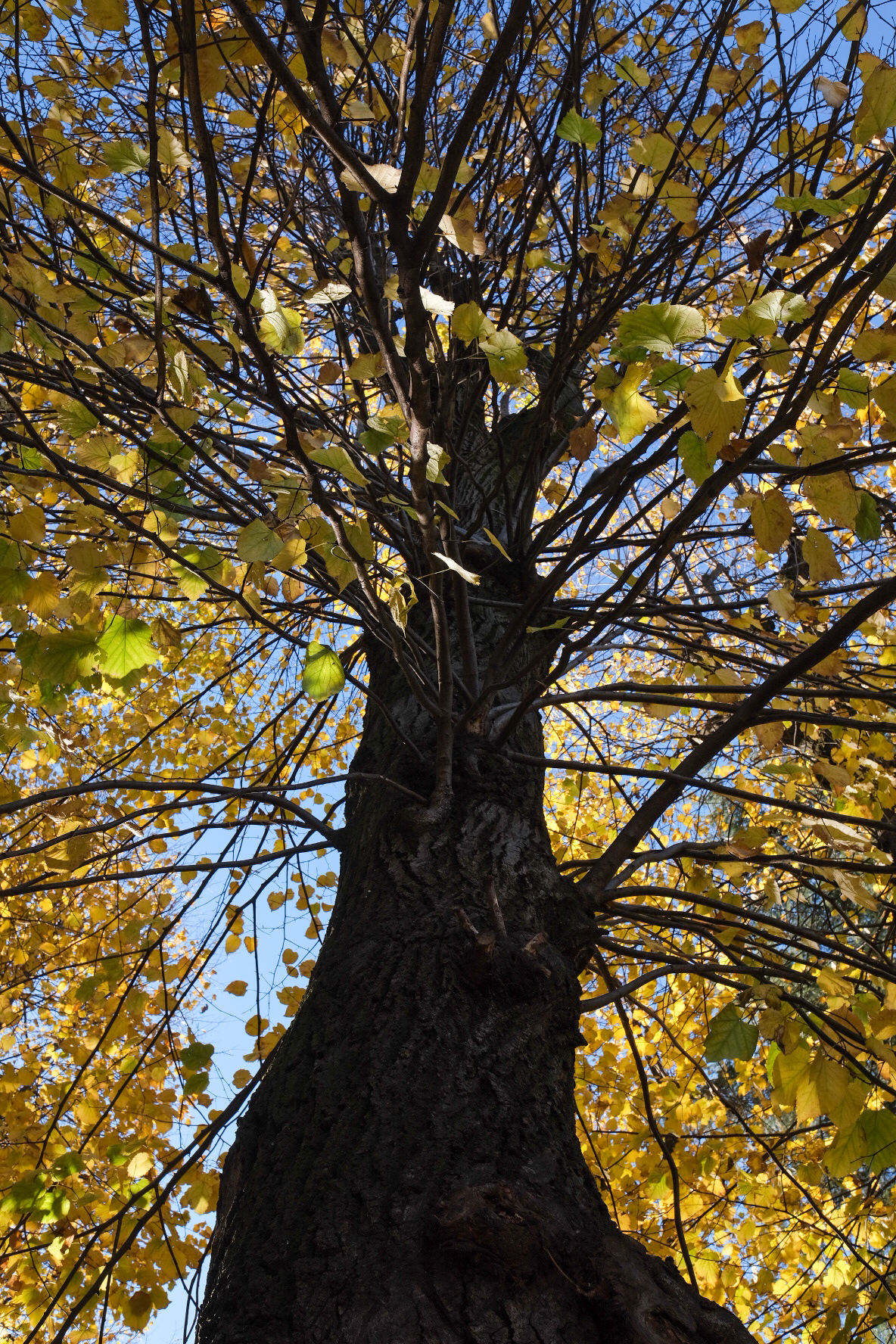 Untitled Photo