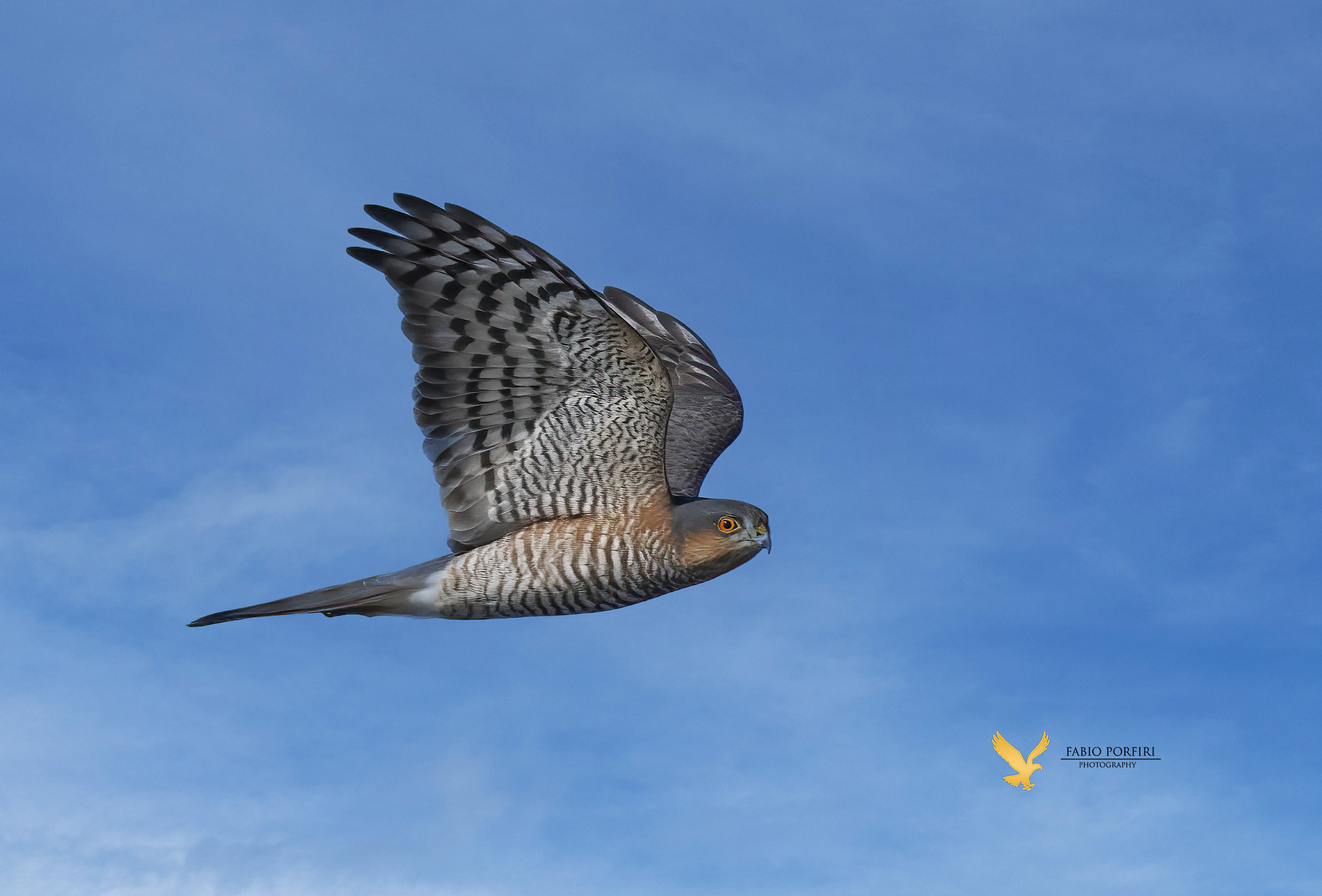 ti guardano sempre ...