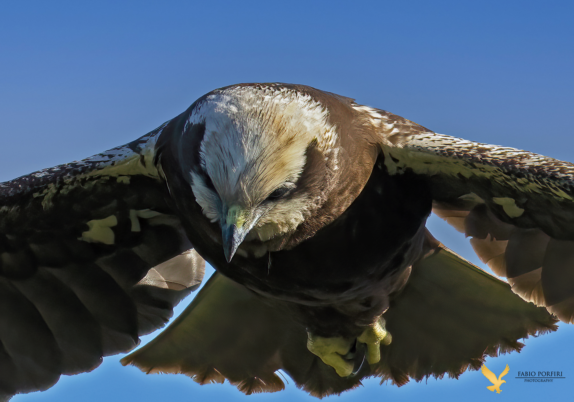 quando guardi in basso...........