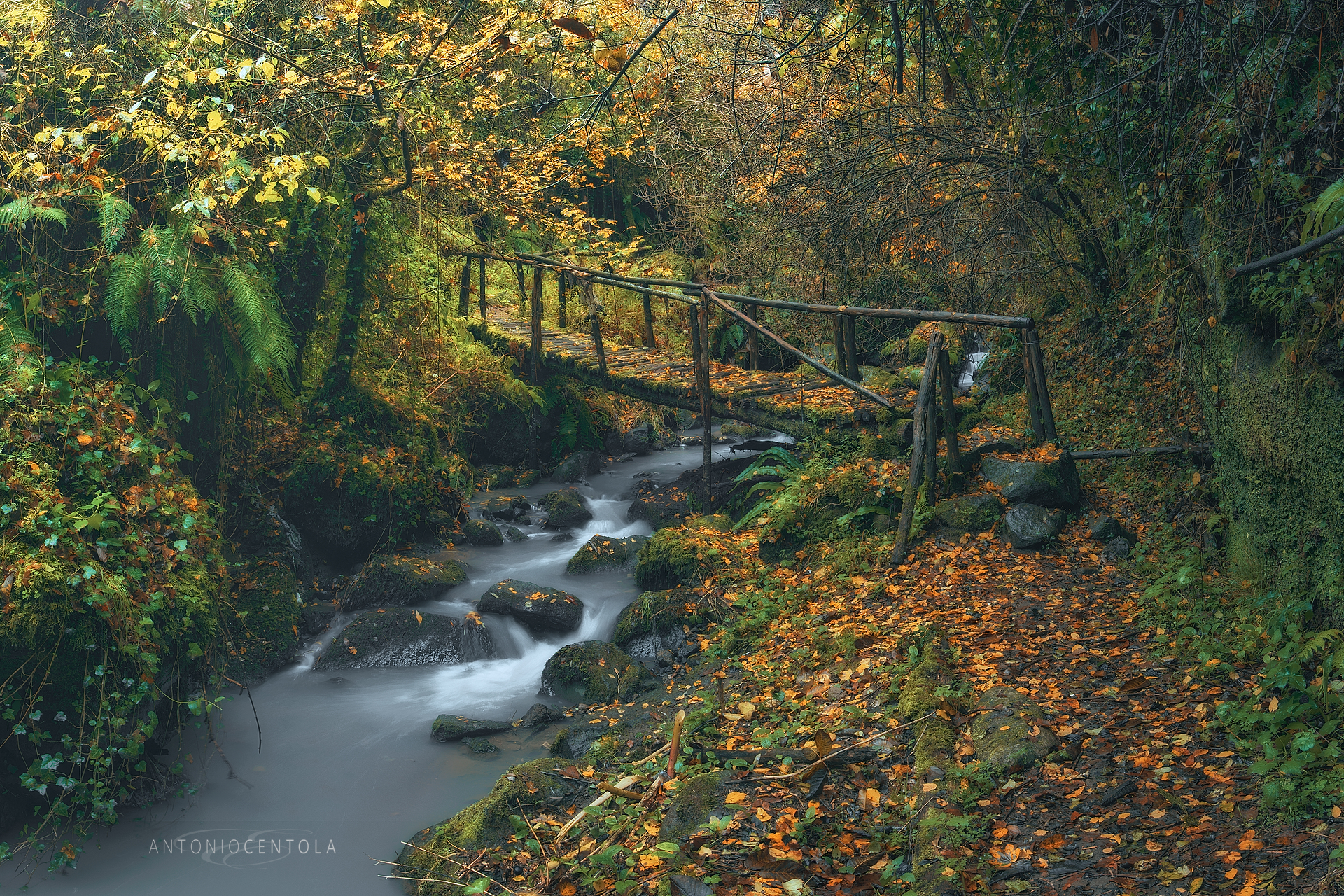 Un ponte un pelo scivoloso :)