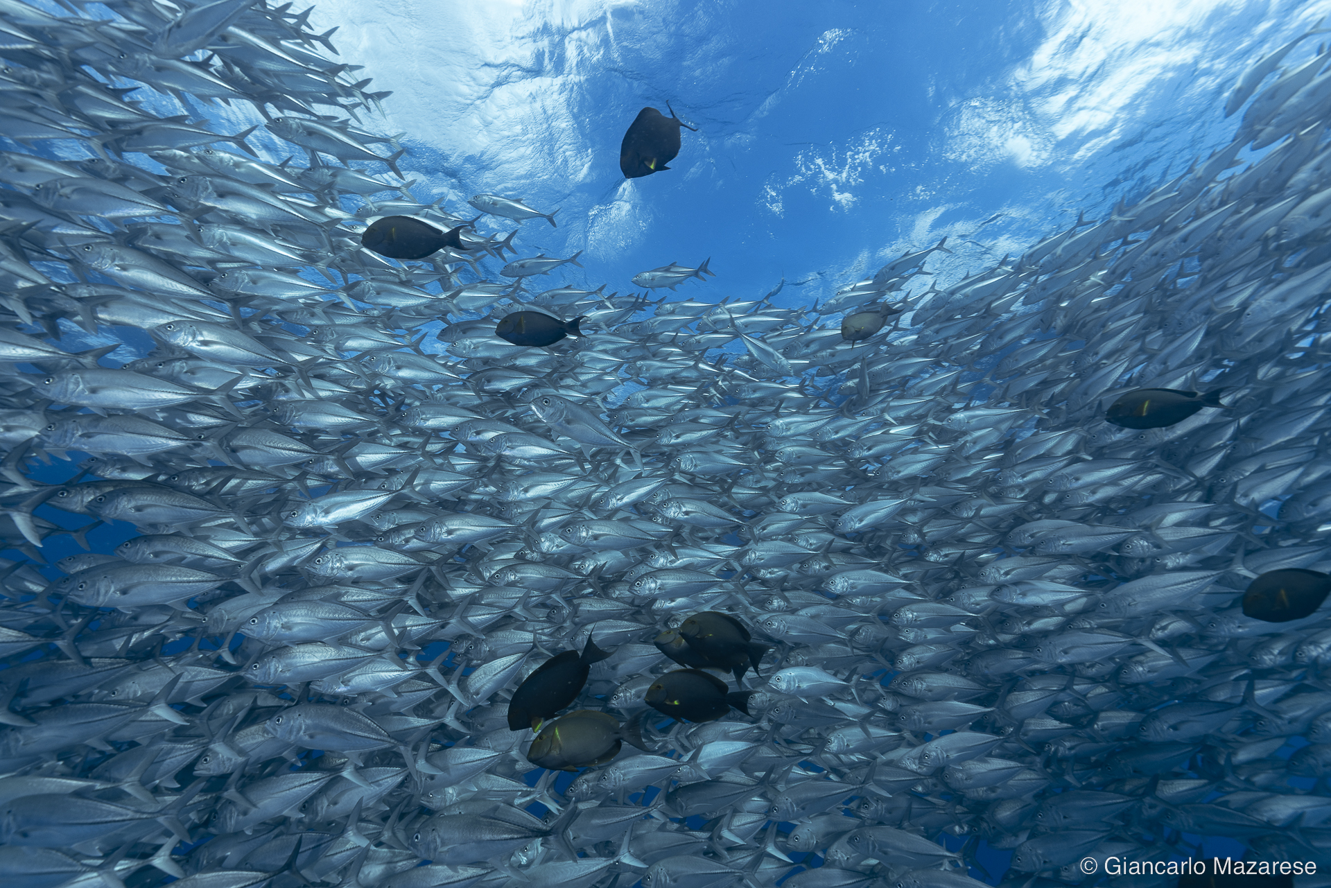 The sky above the sea