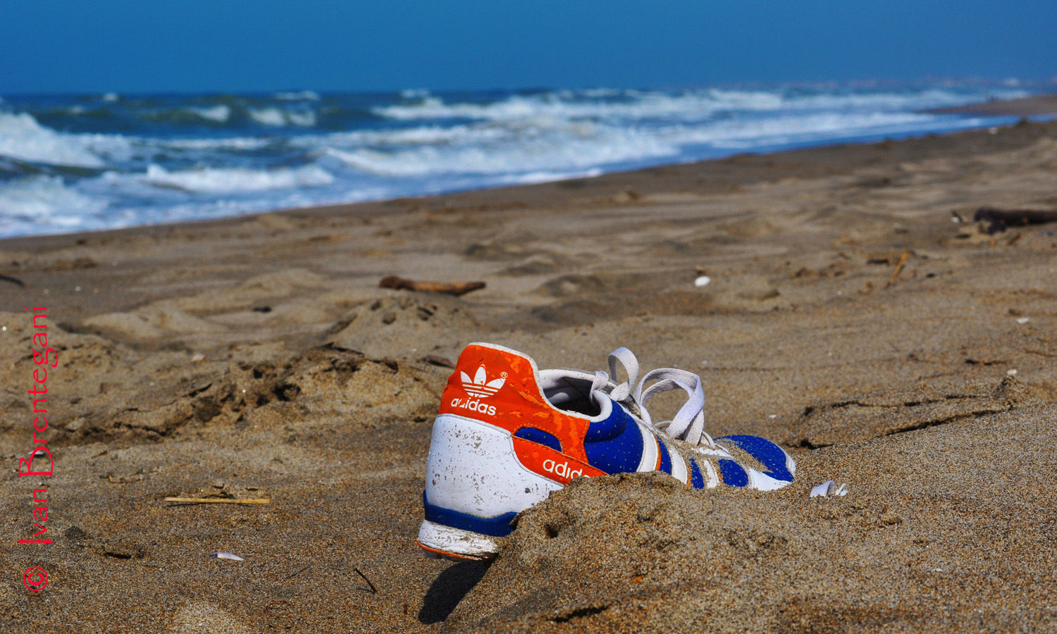 Ti sei perso qualche cosa?