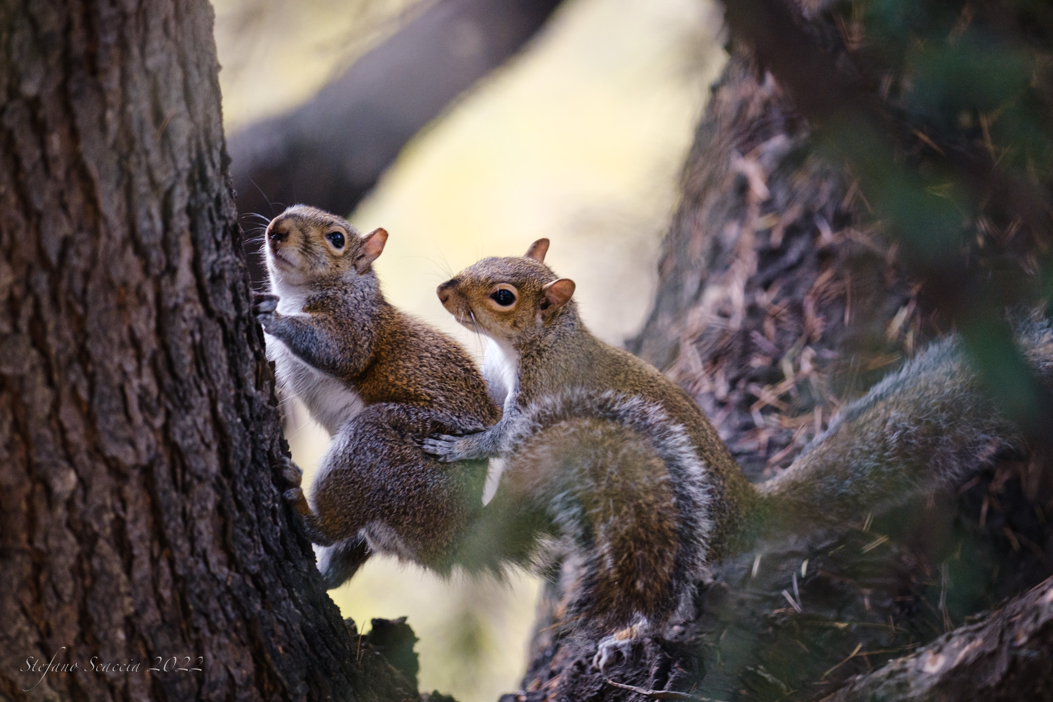 Love is in the air
