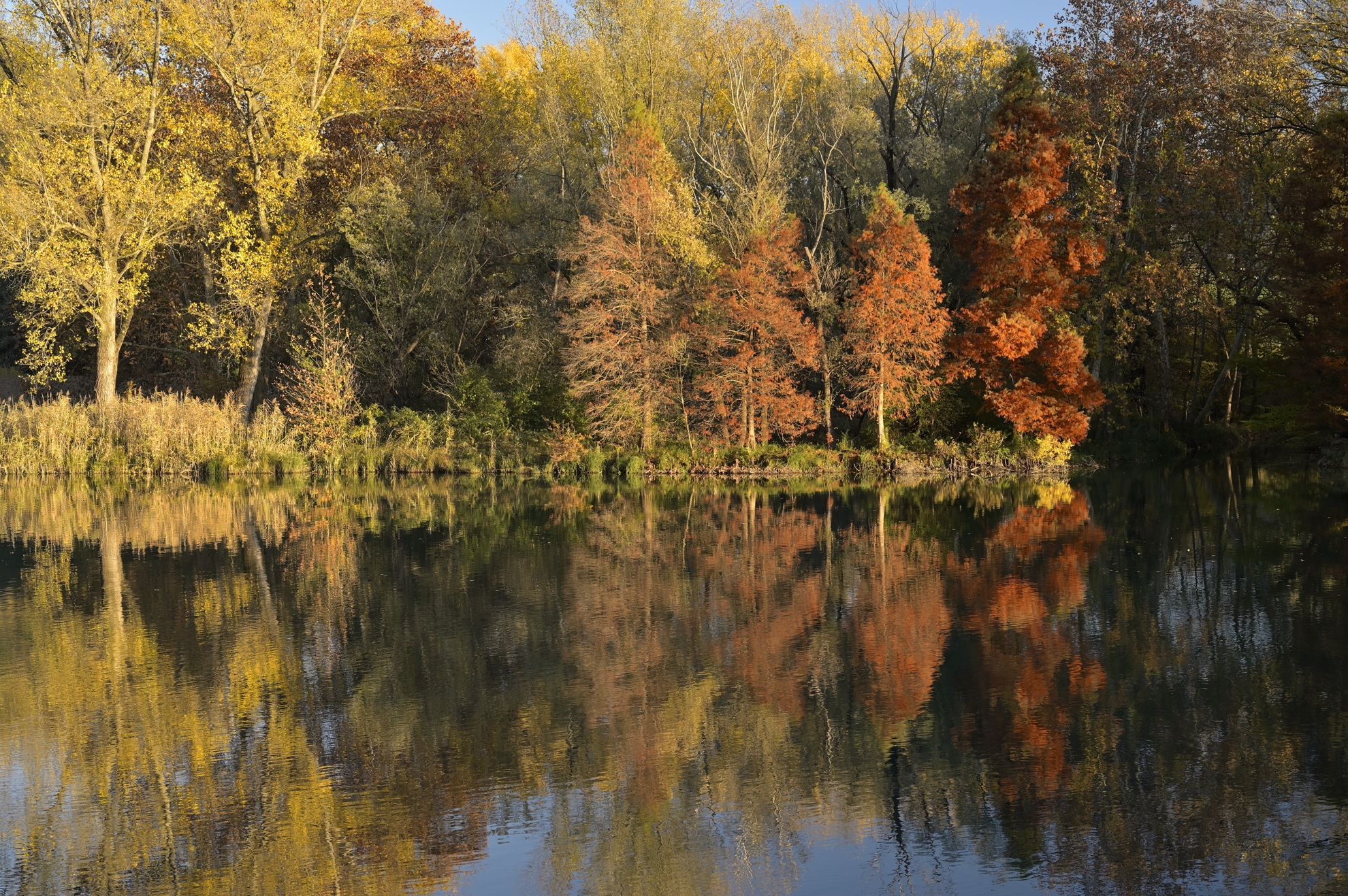 Autumn on the Adda Series