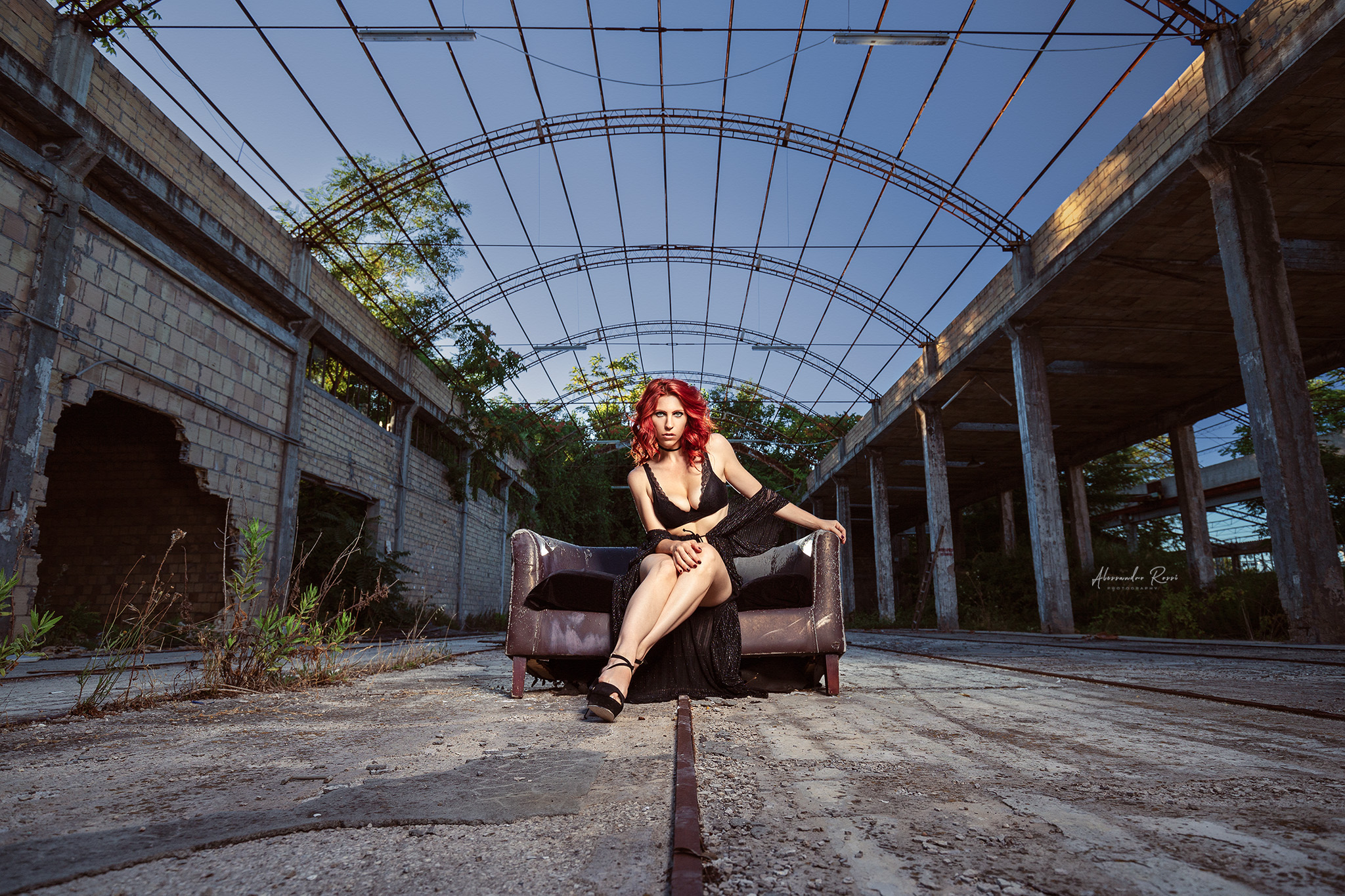 Welcome to the (jungle)