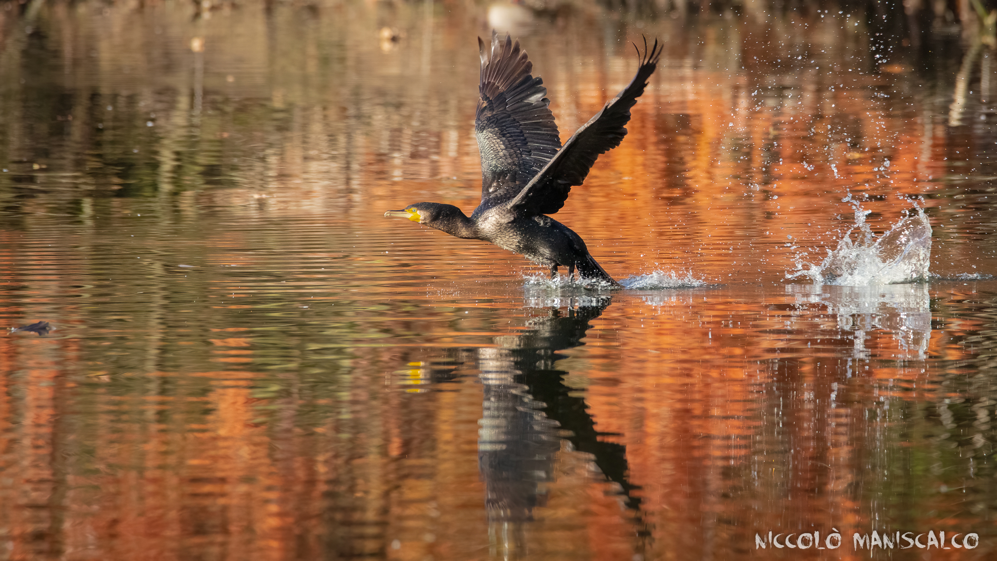 Sfumature di fine autunno