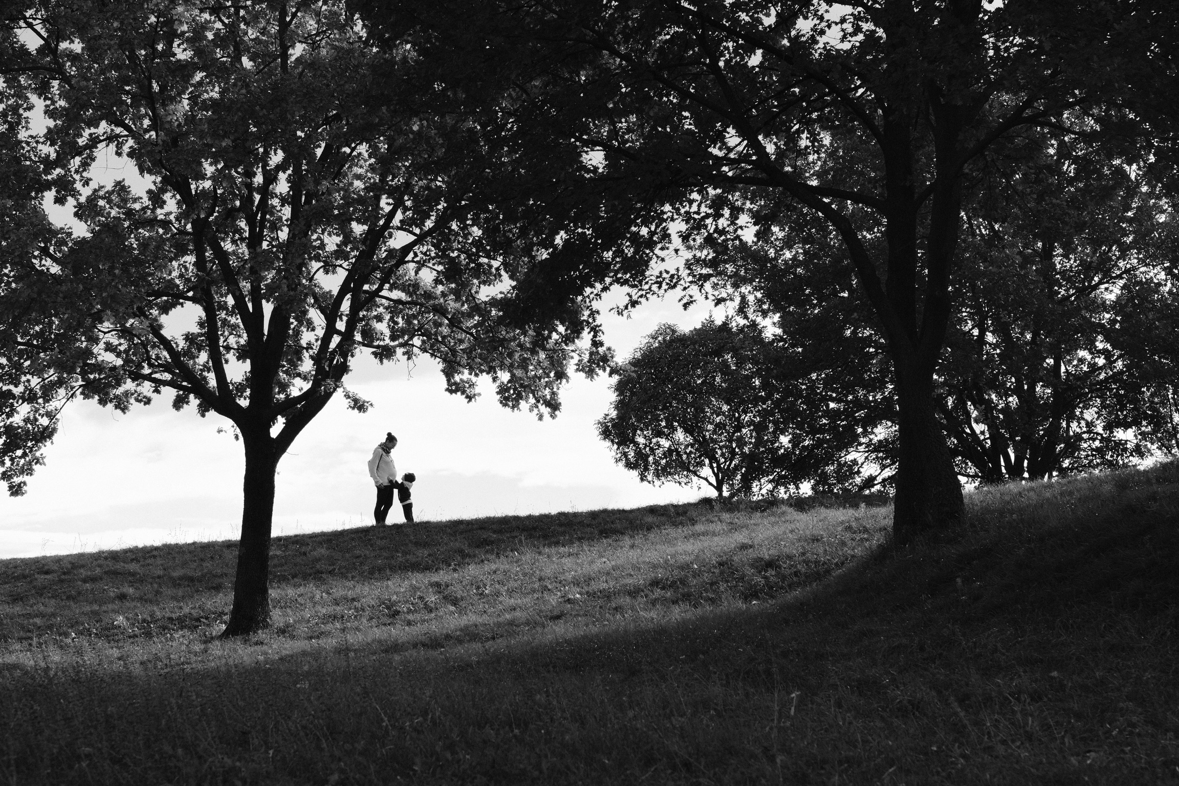 Lo stesso parco, e di nuovo uno/a in più