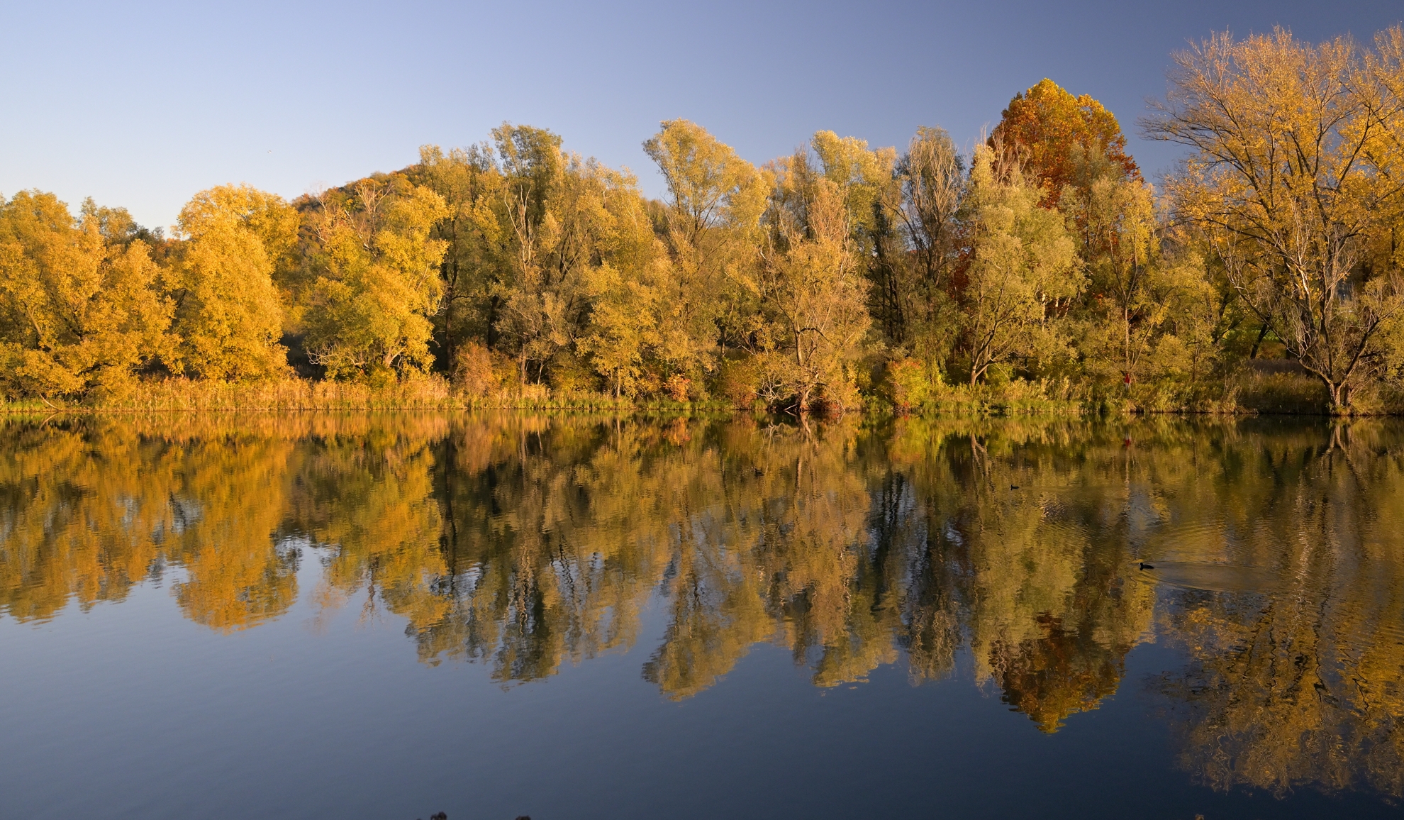 Autumn on the Adda (SERIES)