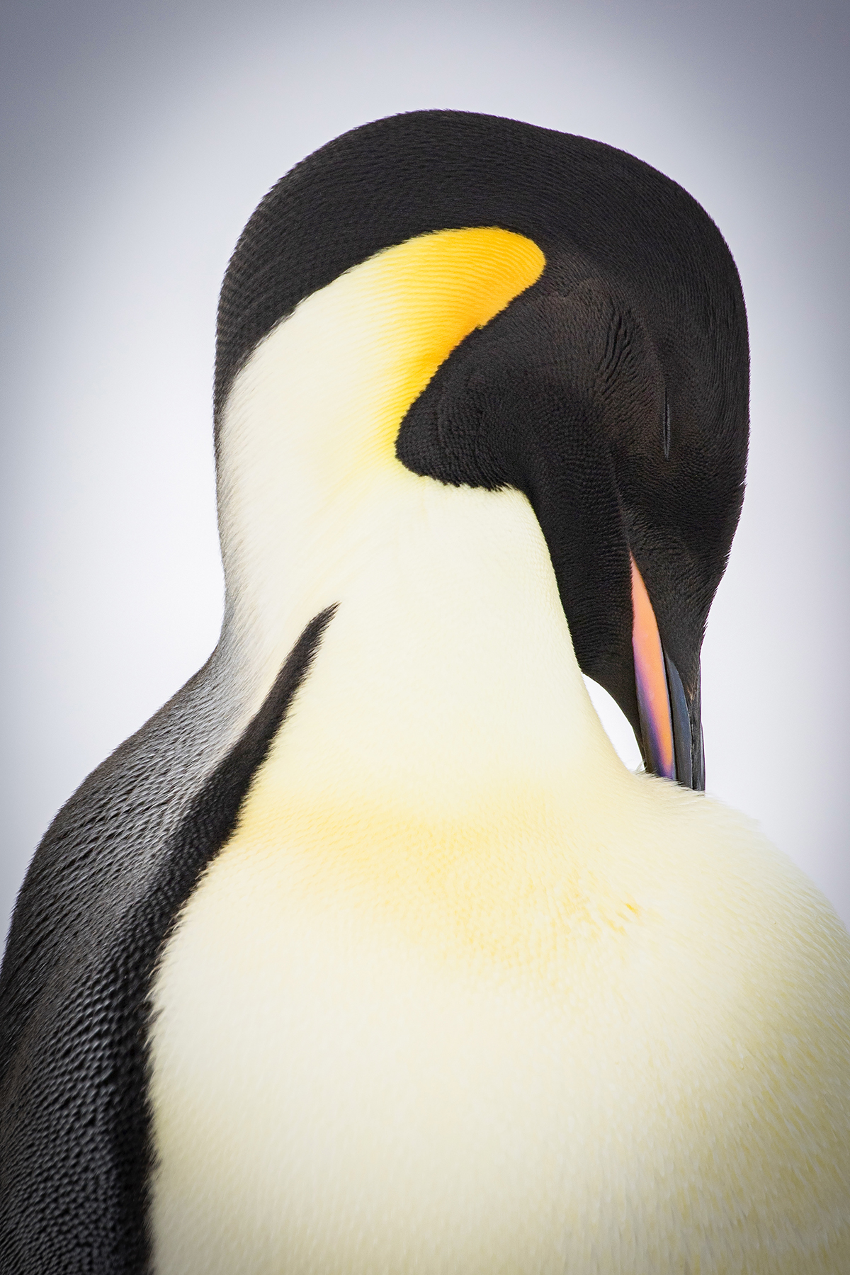 I make myself beautiful