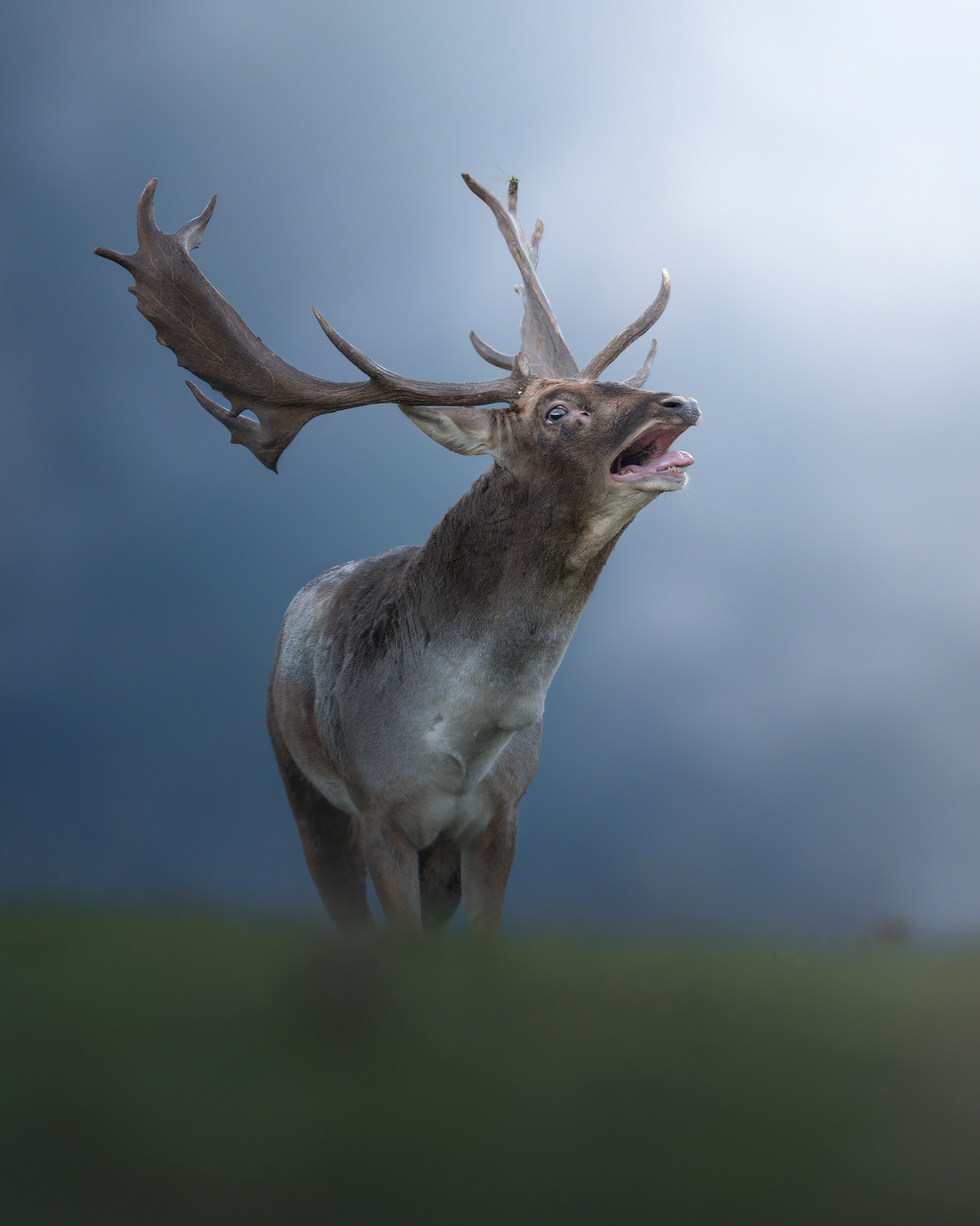 Pochi istanti prima del combattimento