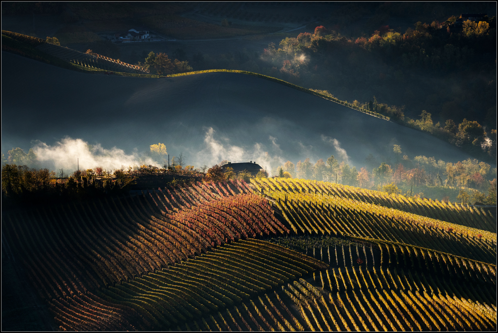 l'autunno nelle langhe