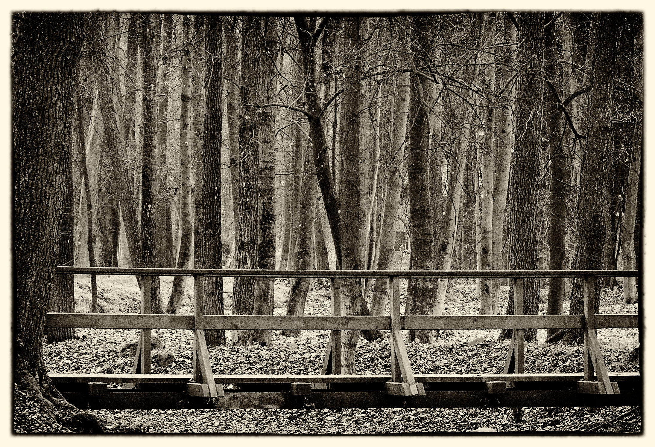 bridge black and white
