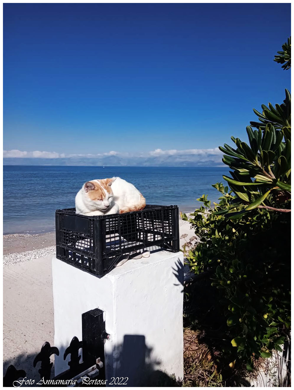 Basking in the Corfu sun
