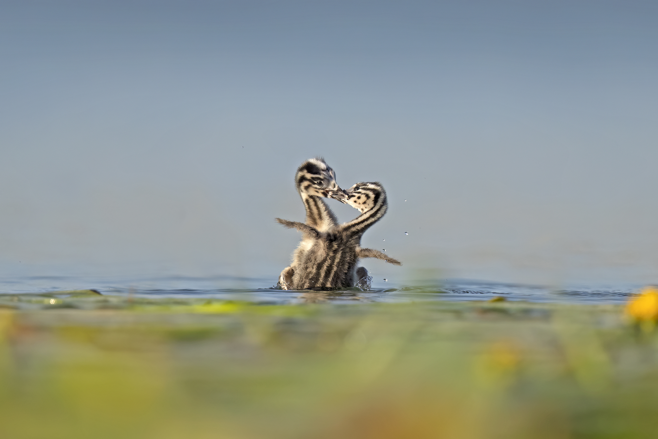 Giochi in acqua