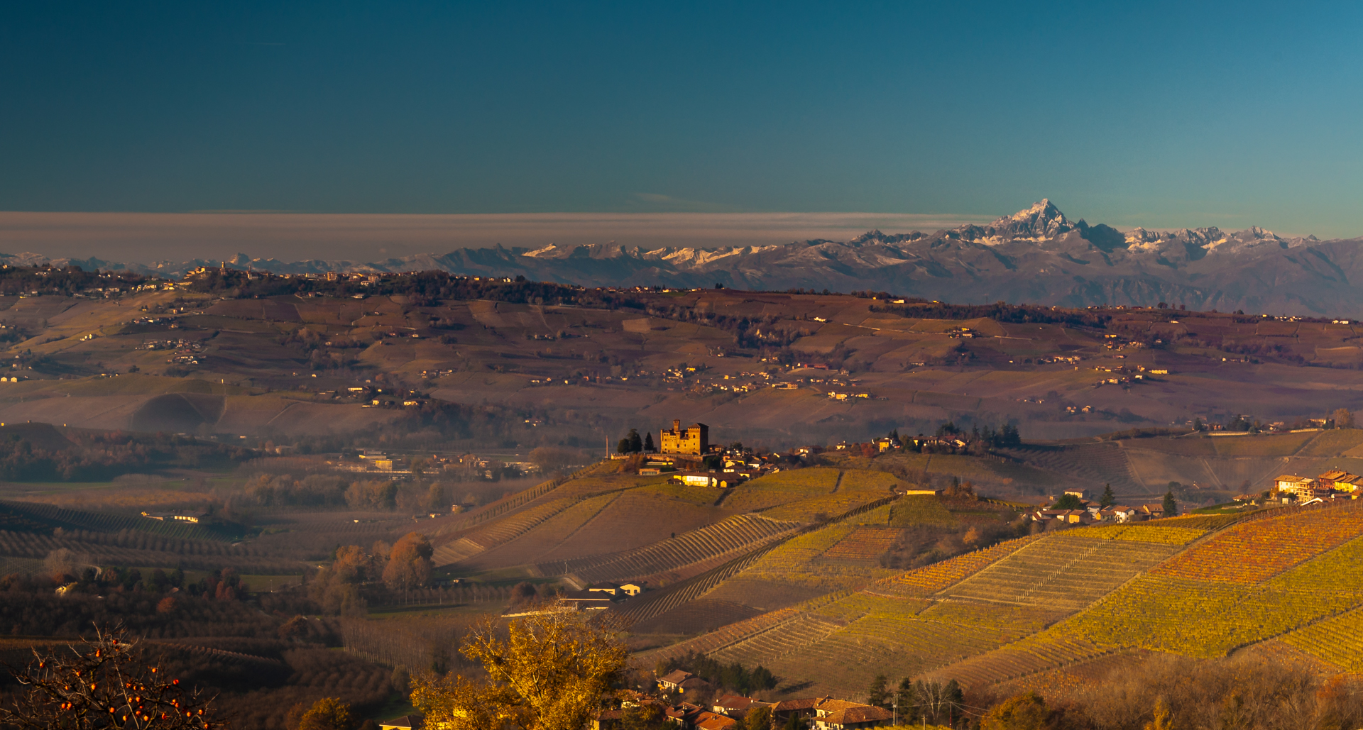 Castello di Grinzane Cavour
