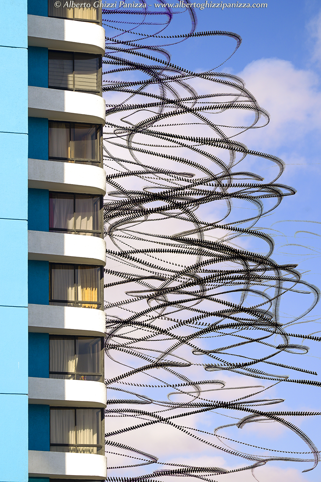 Vulture movements in Antofagasta - Chile #1