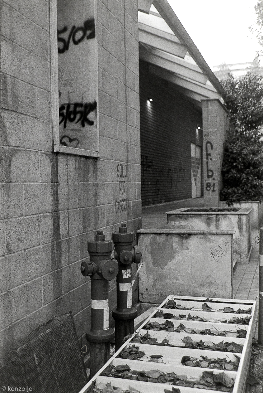 Hydrants sell leaves in Piazza Mercato