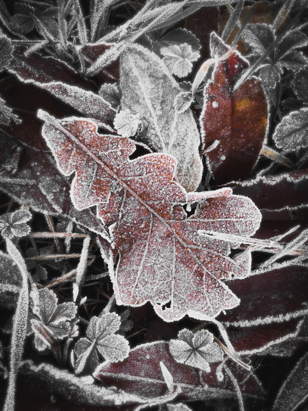 Primi cristalli