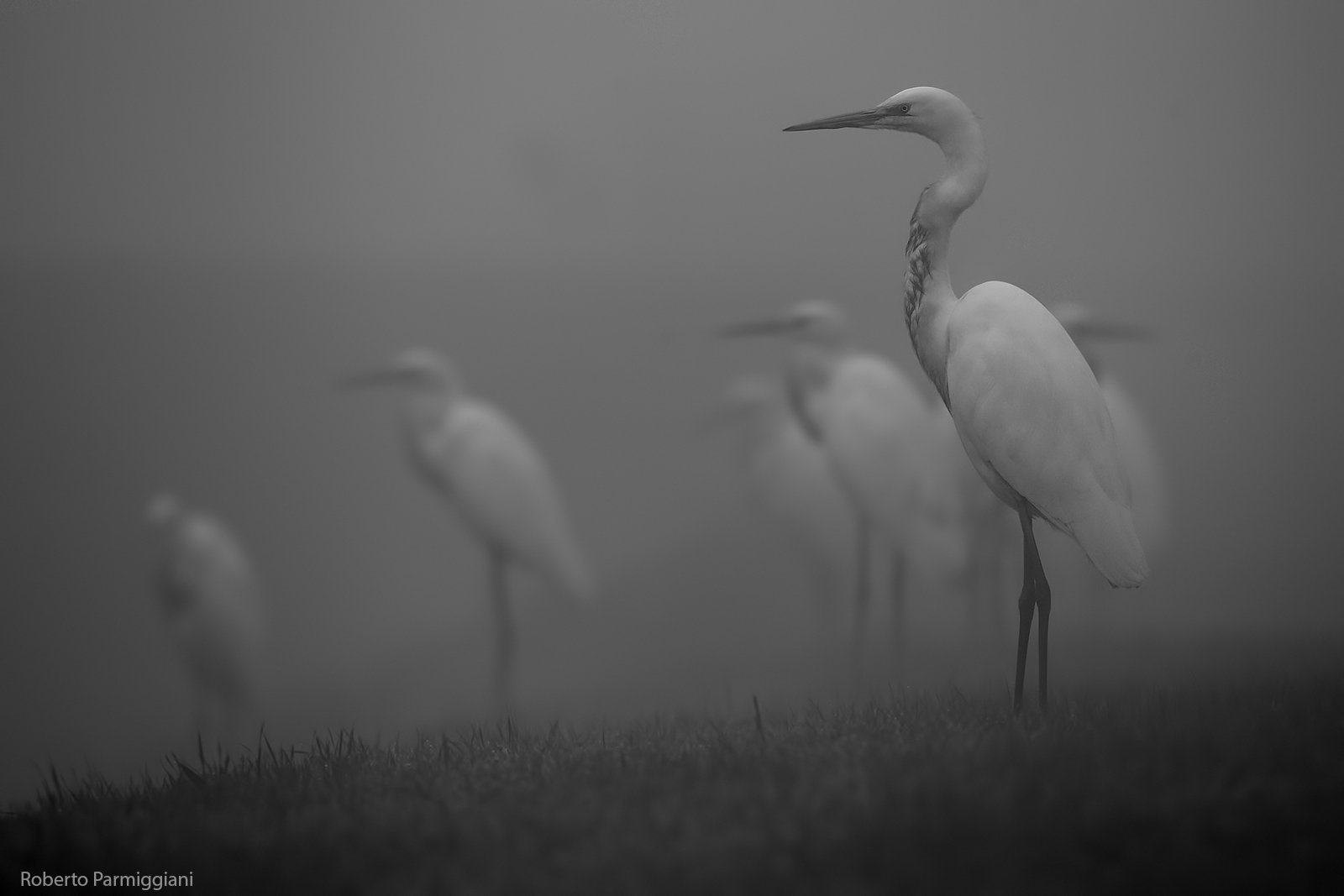 Presence