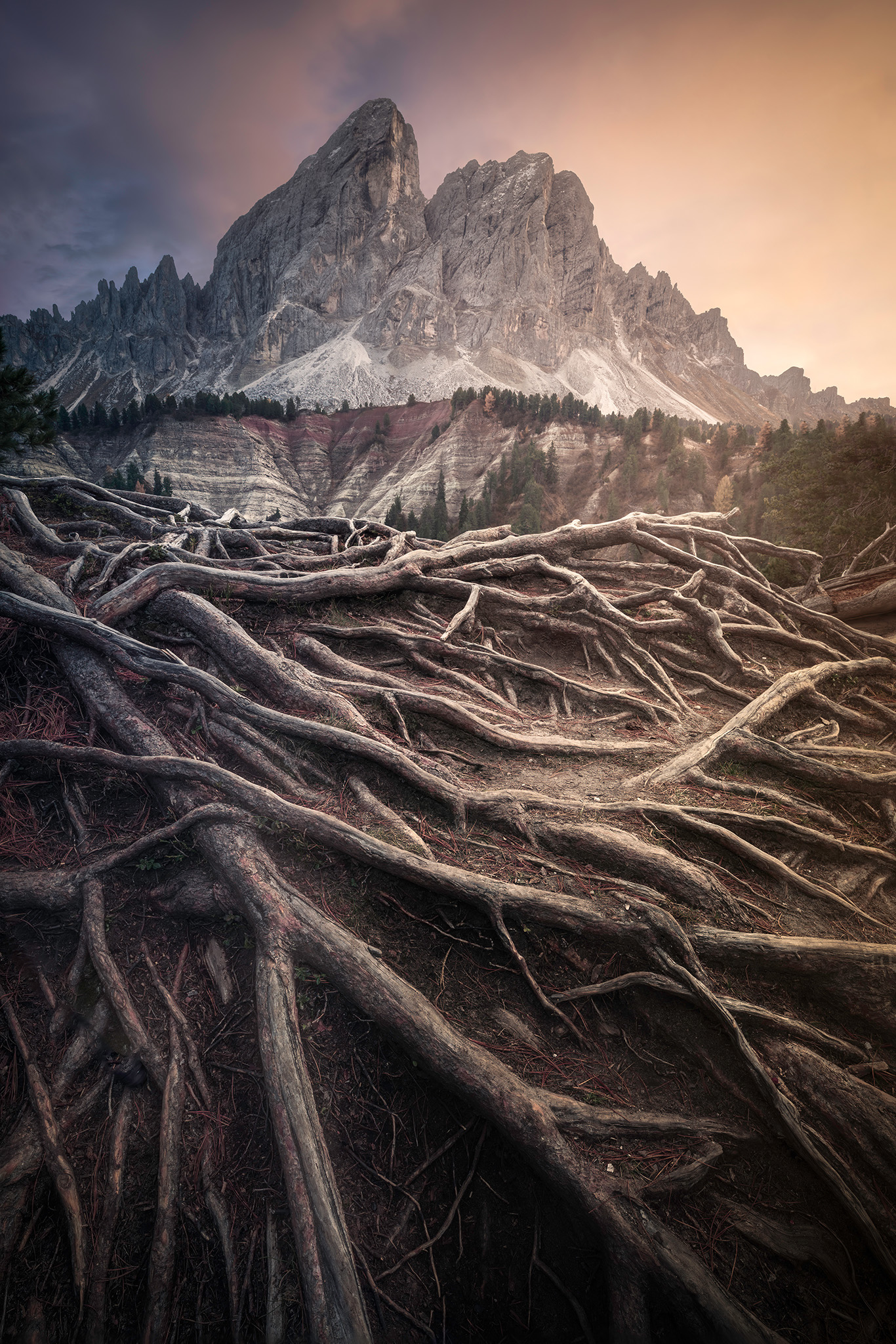 The roots of the Dolomites