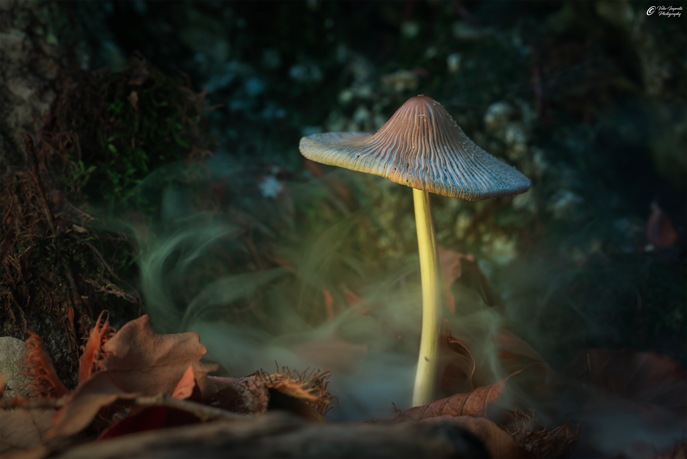 Between lights and fumes