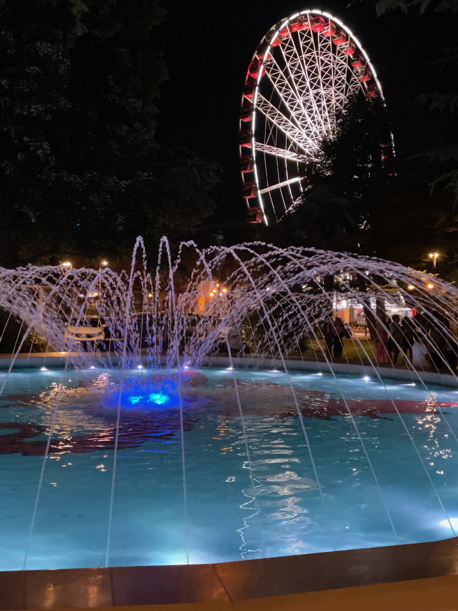 Fountain and Ferris wheel by night
