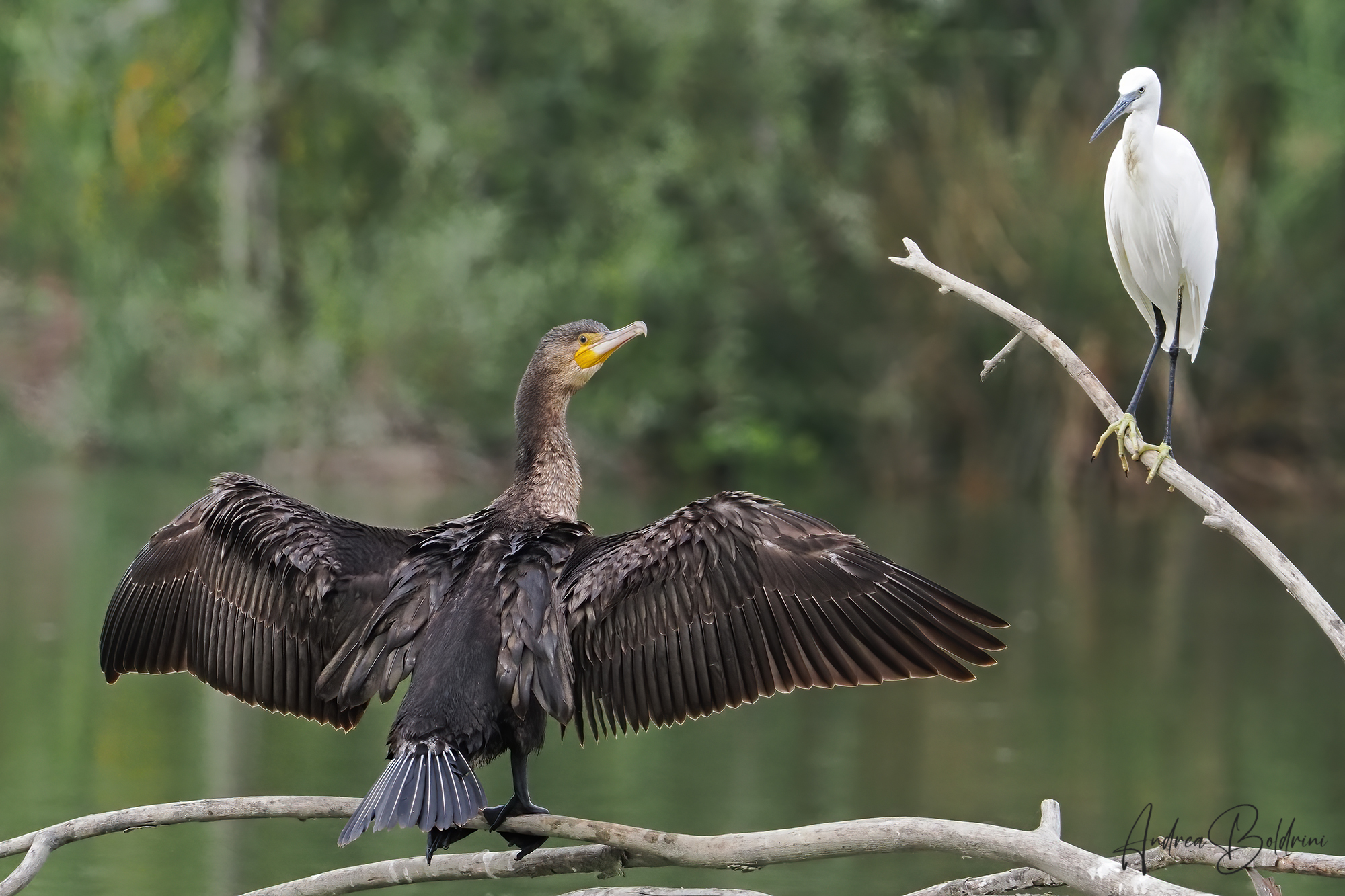 Anvedi that physical..