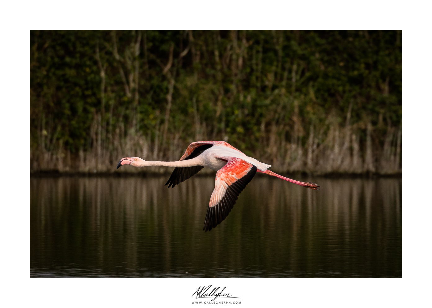 in flight