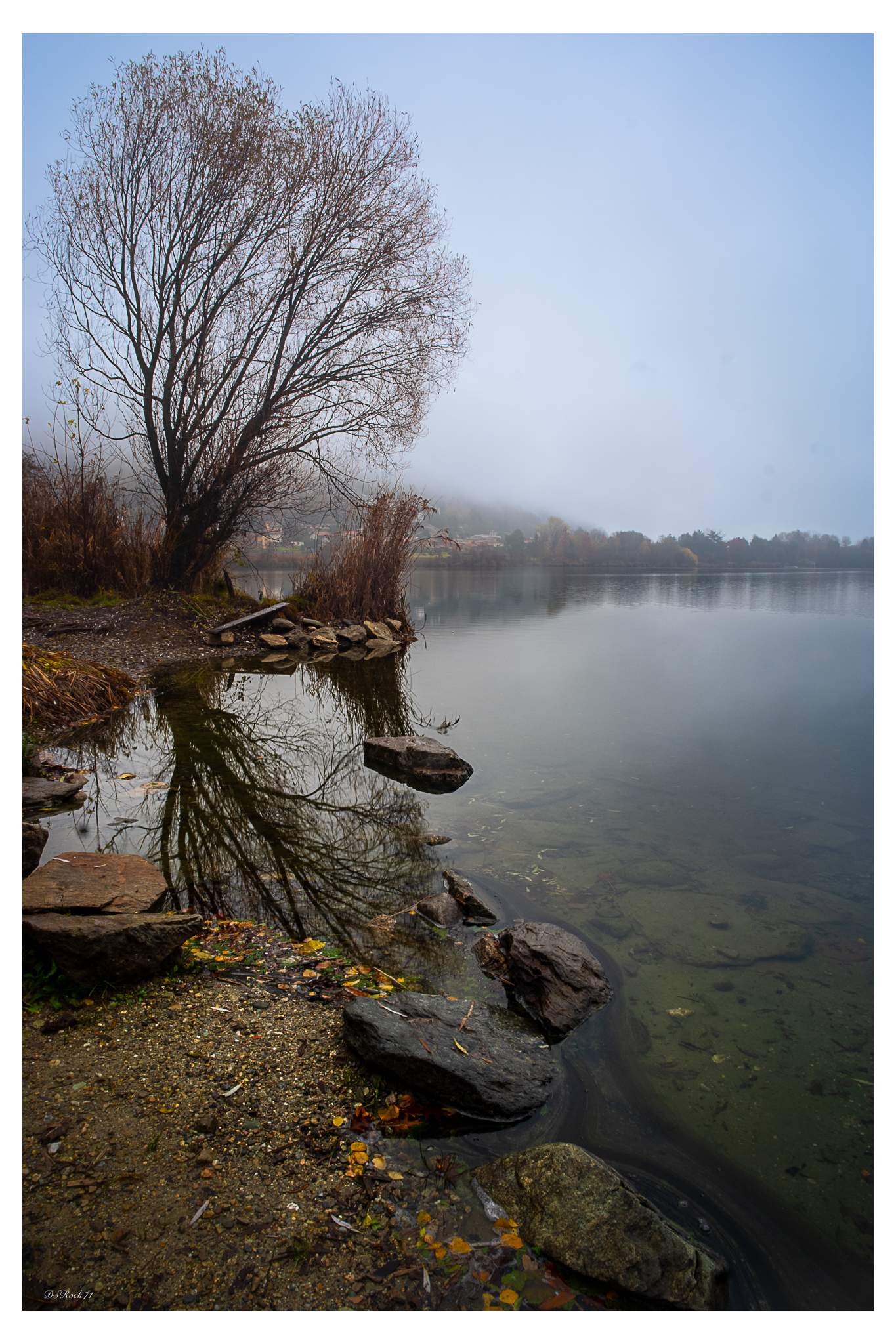 A morning at the lake