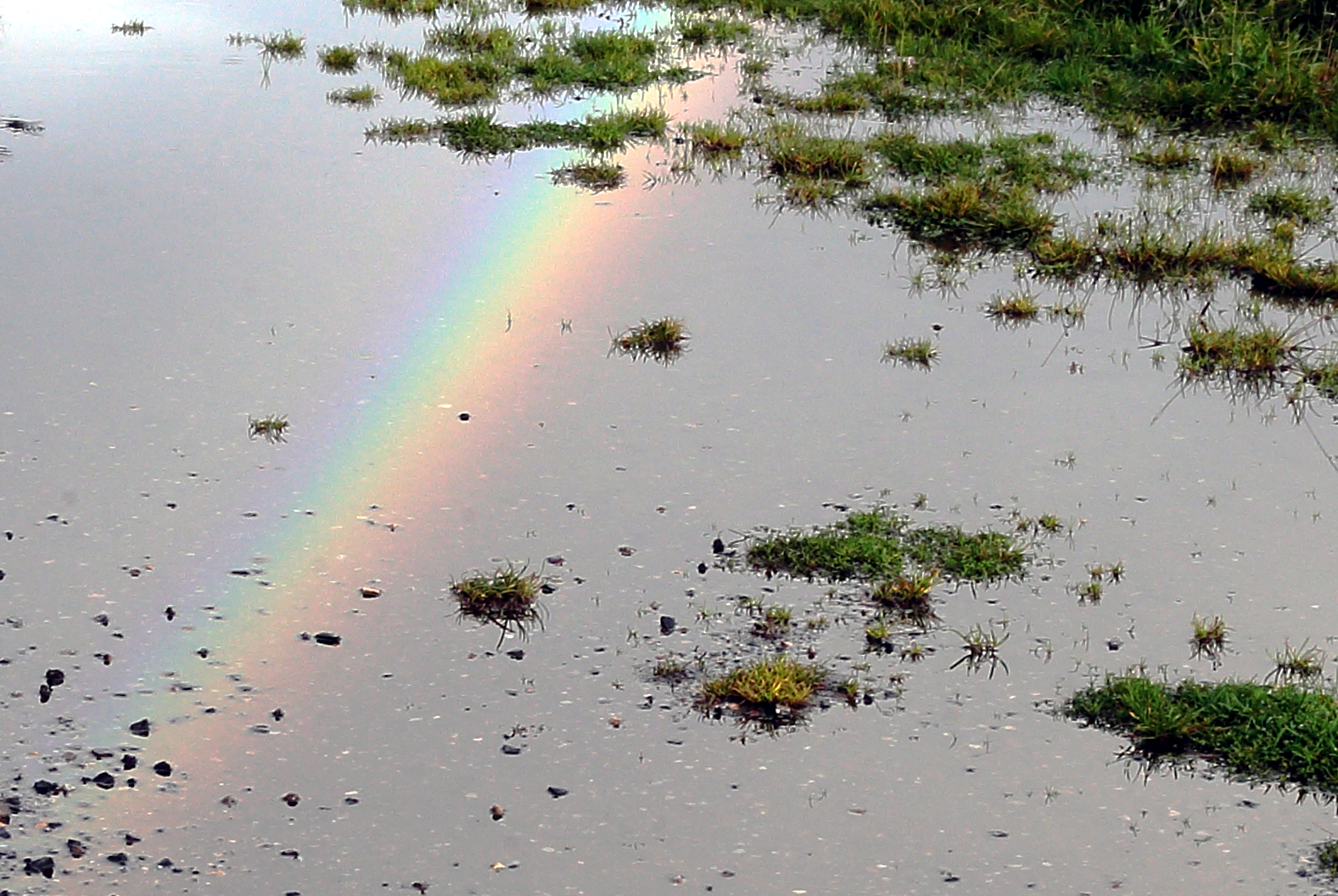 arcobaleno 7 12 2022