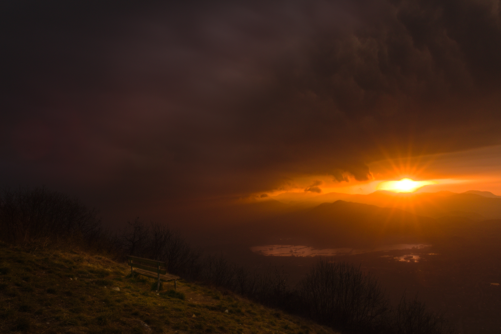 Untitled Photo