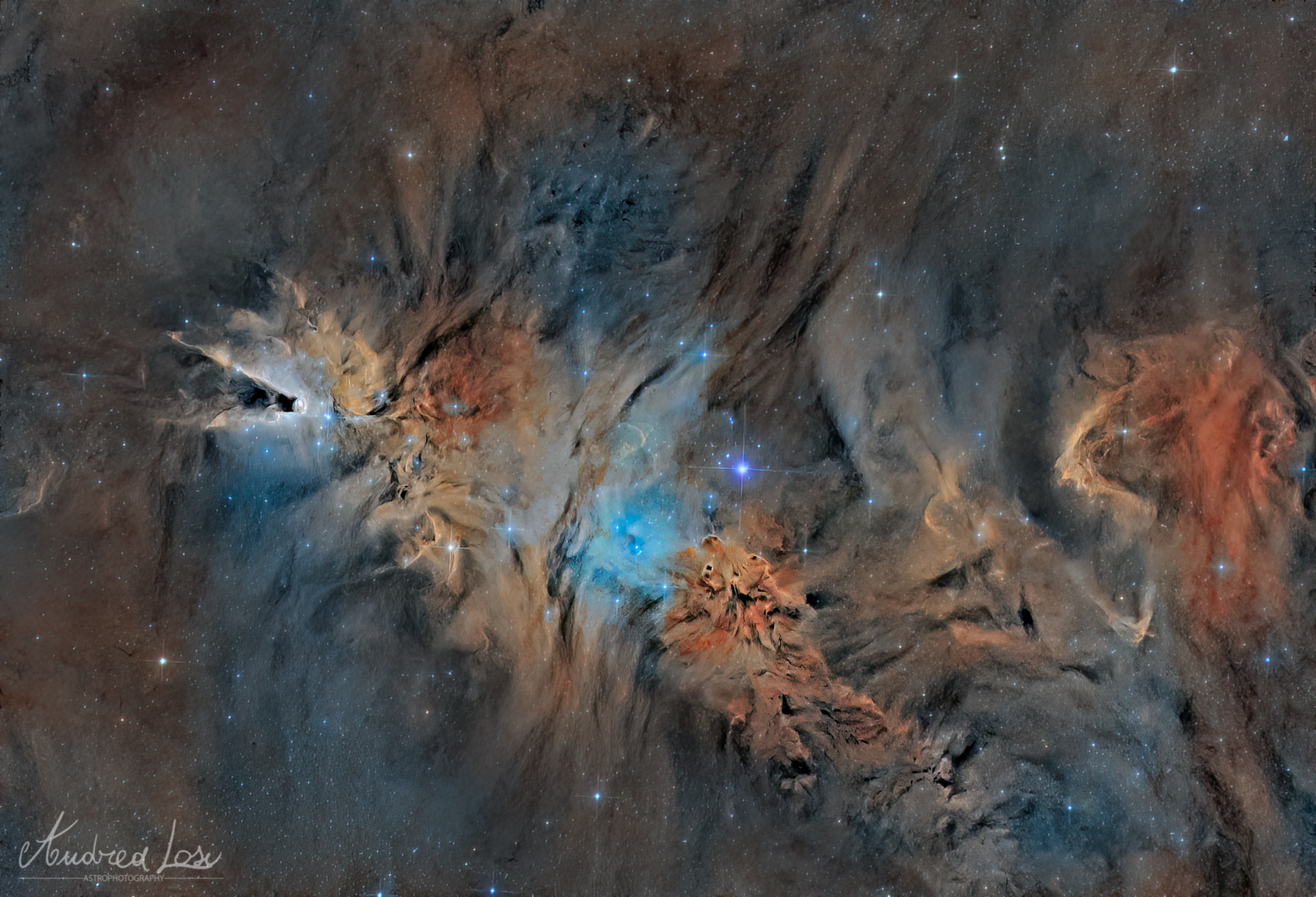 Fox Fur Nebula