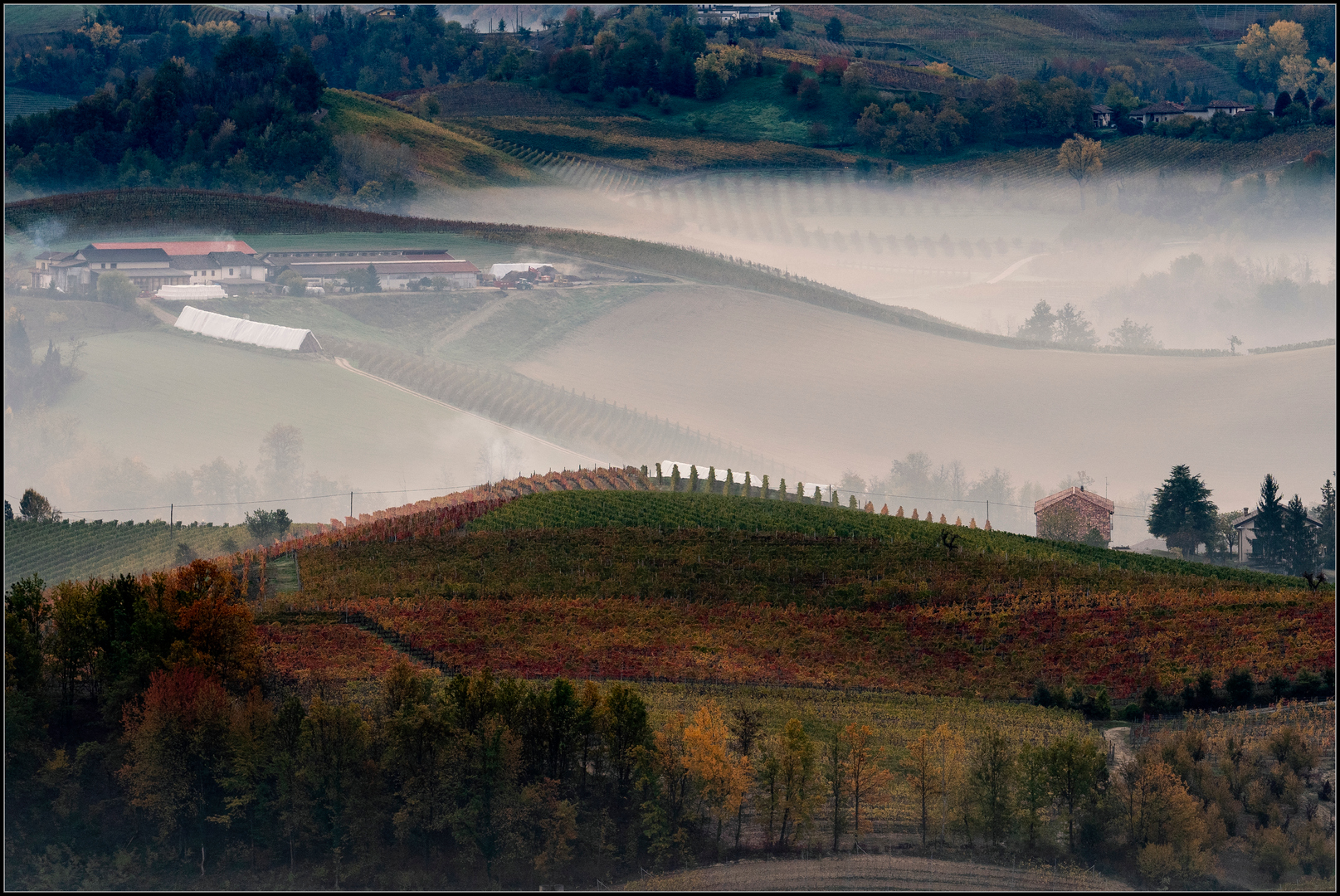 l'autunno nelle langhe