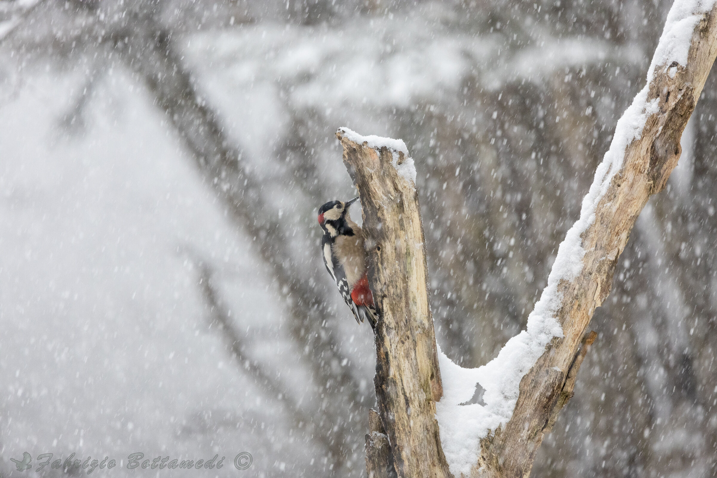In the woods with snow everything is more magical!