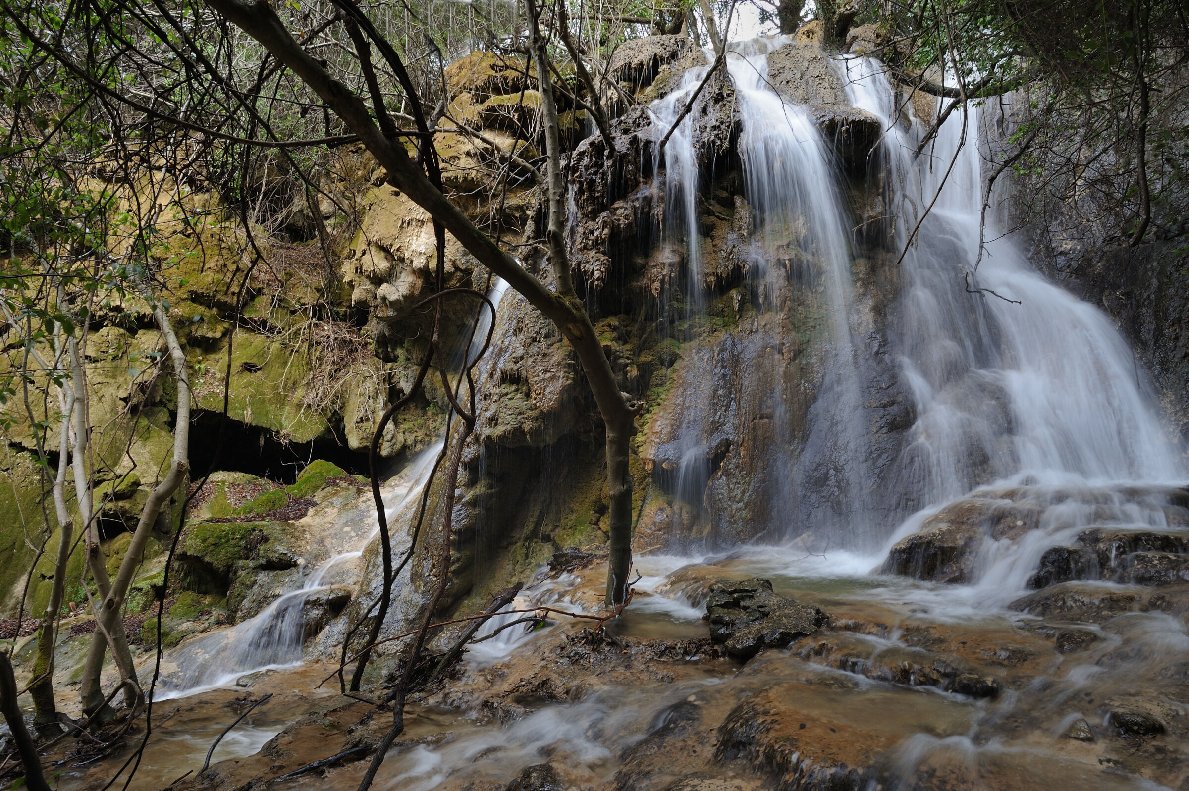 Scorci di Sardegna - Il bosco incantato