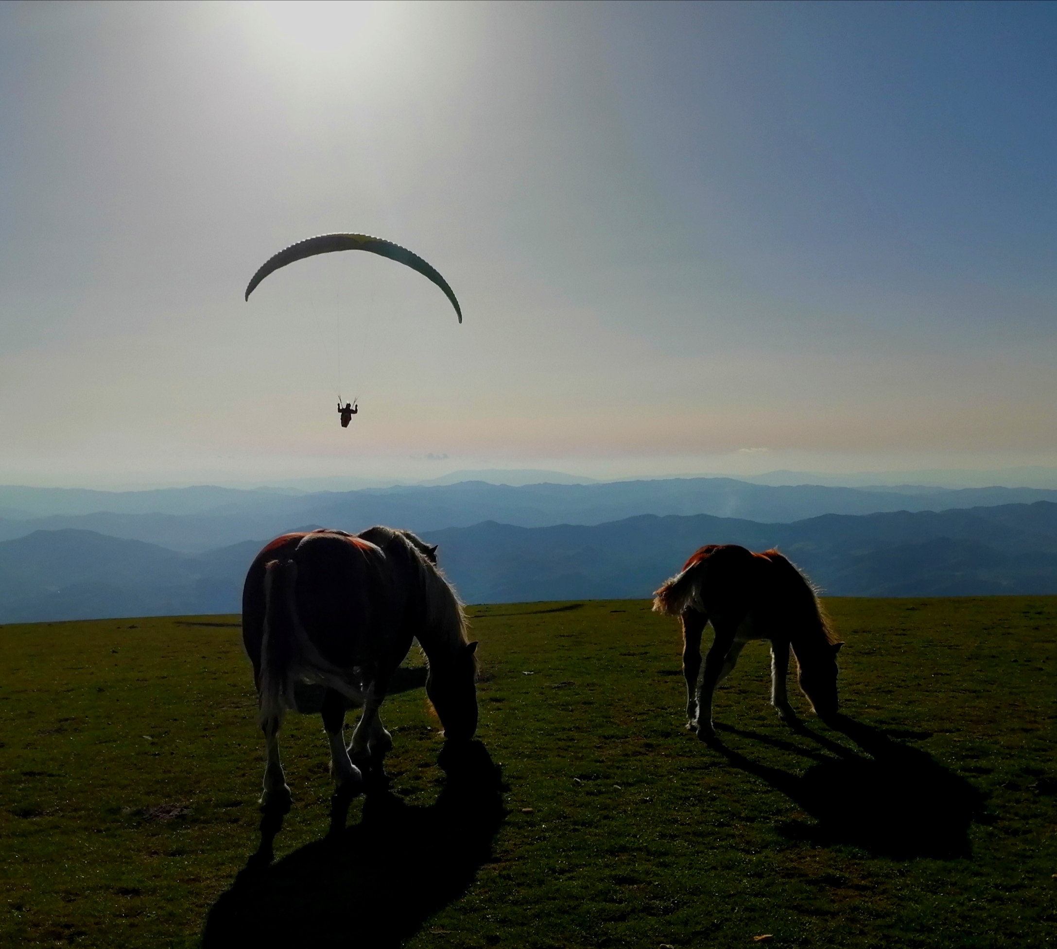 Monte cucco