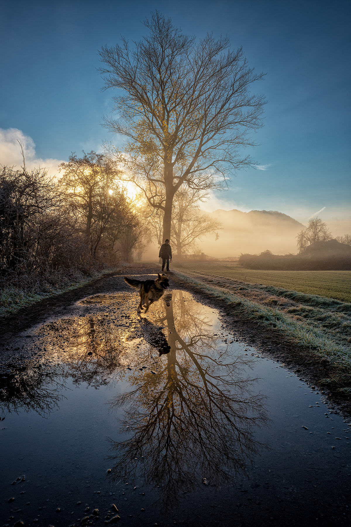 Lo specchio infranto