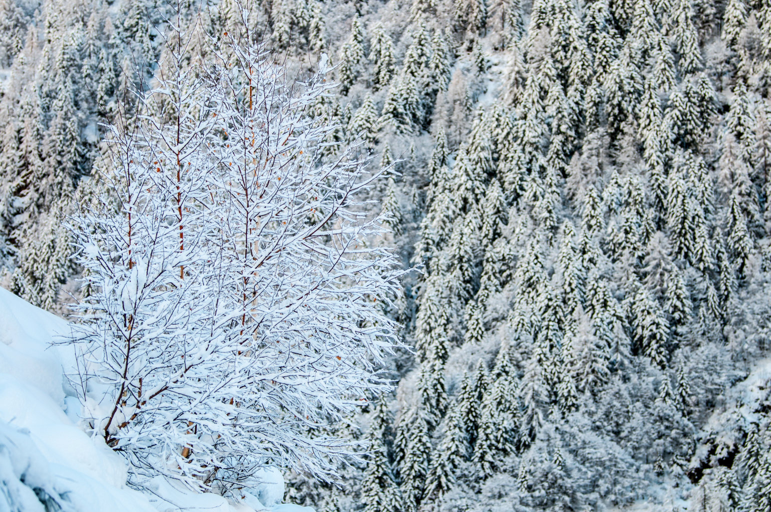 ... inverno in Val Vogna...