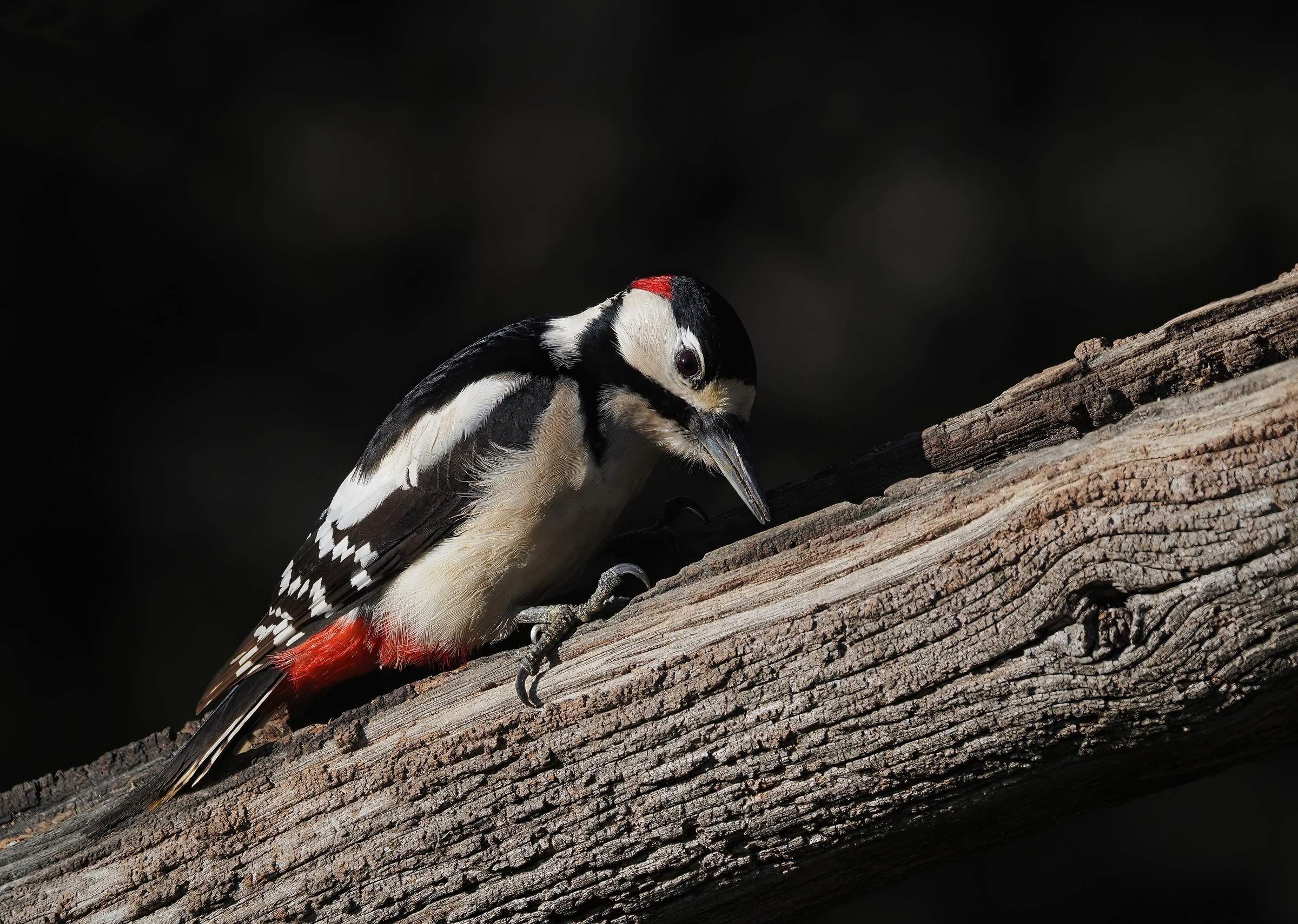 White, red and... black