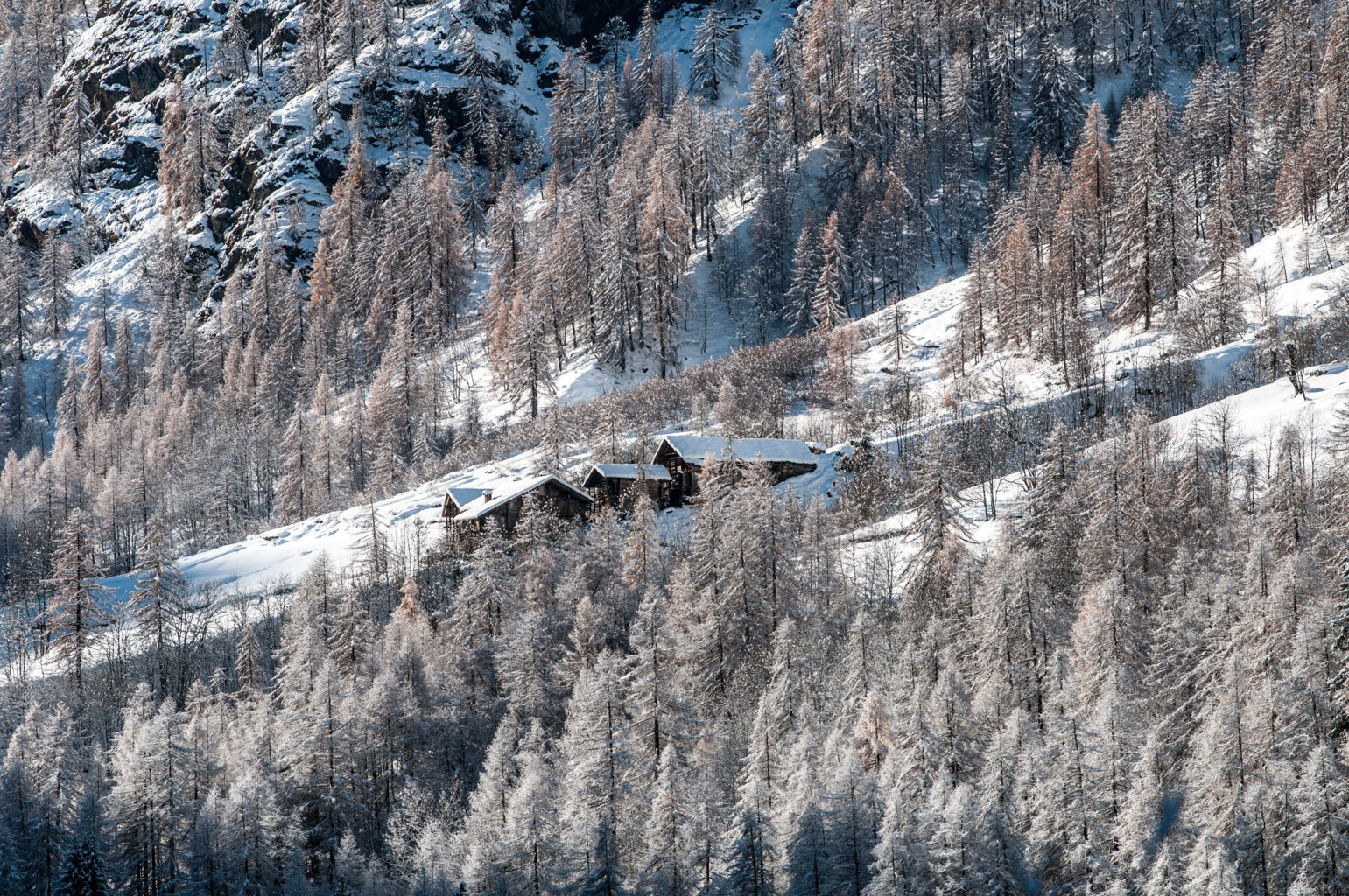 Alpe Piane di Sotto. Val Vogna