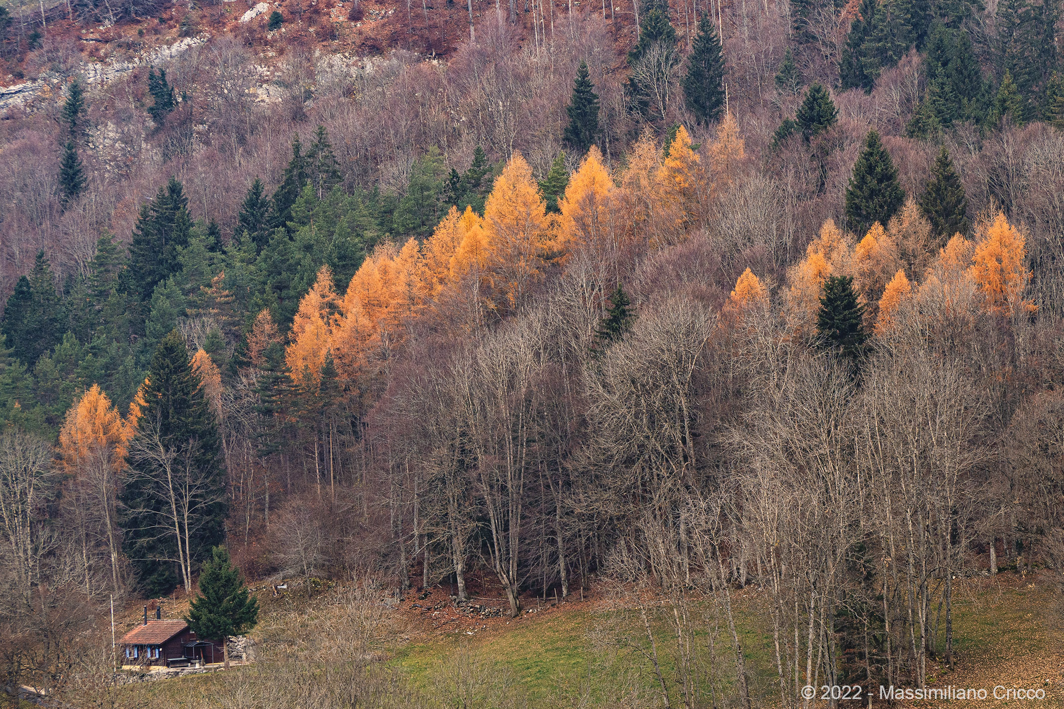 Gli ultimi colori dell'autunno, Ste-Croix, Svizzera