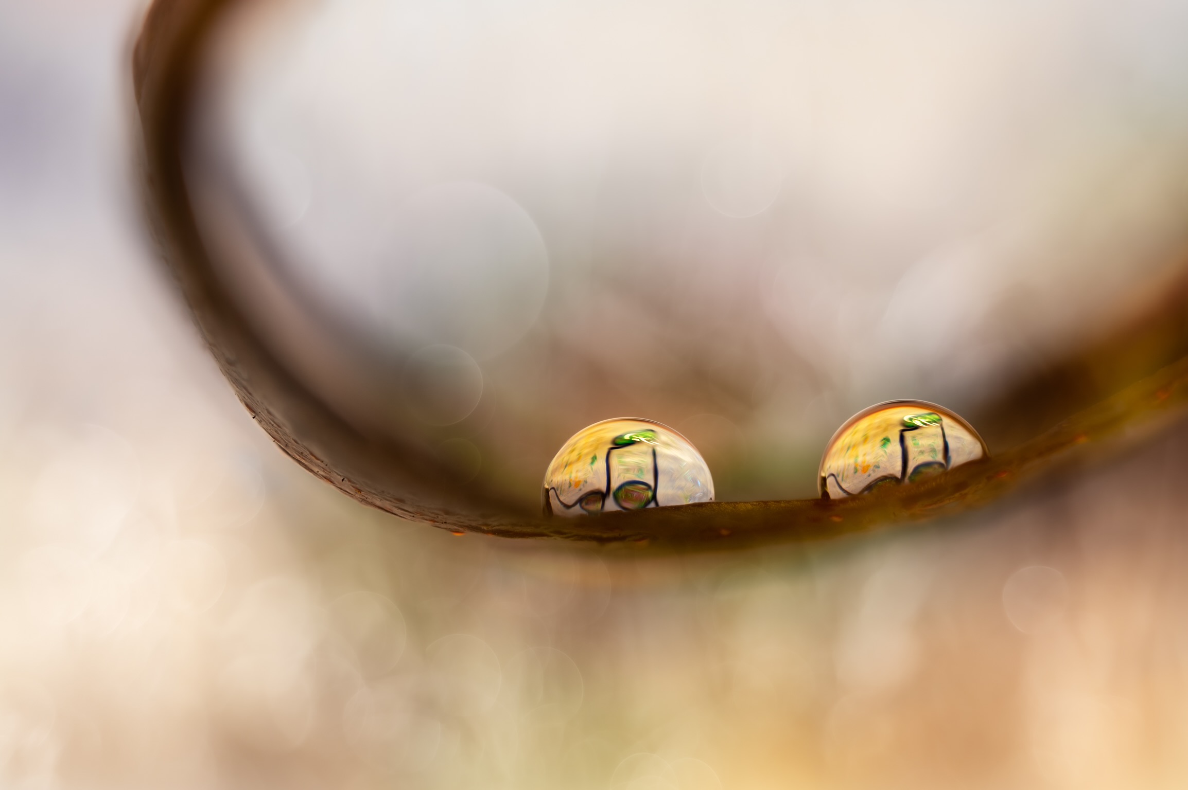 Notes ? in the drops