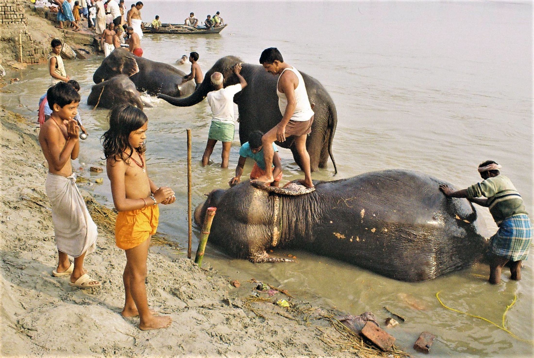 La toilette del mattino