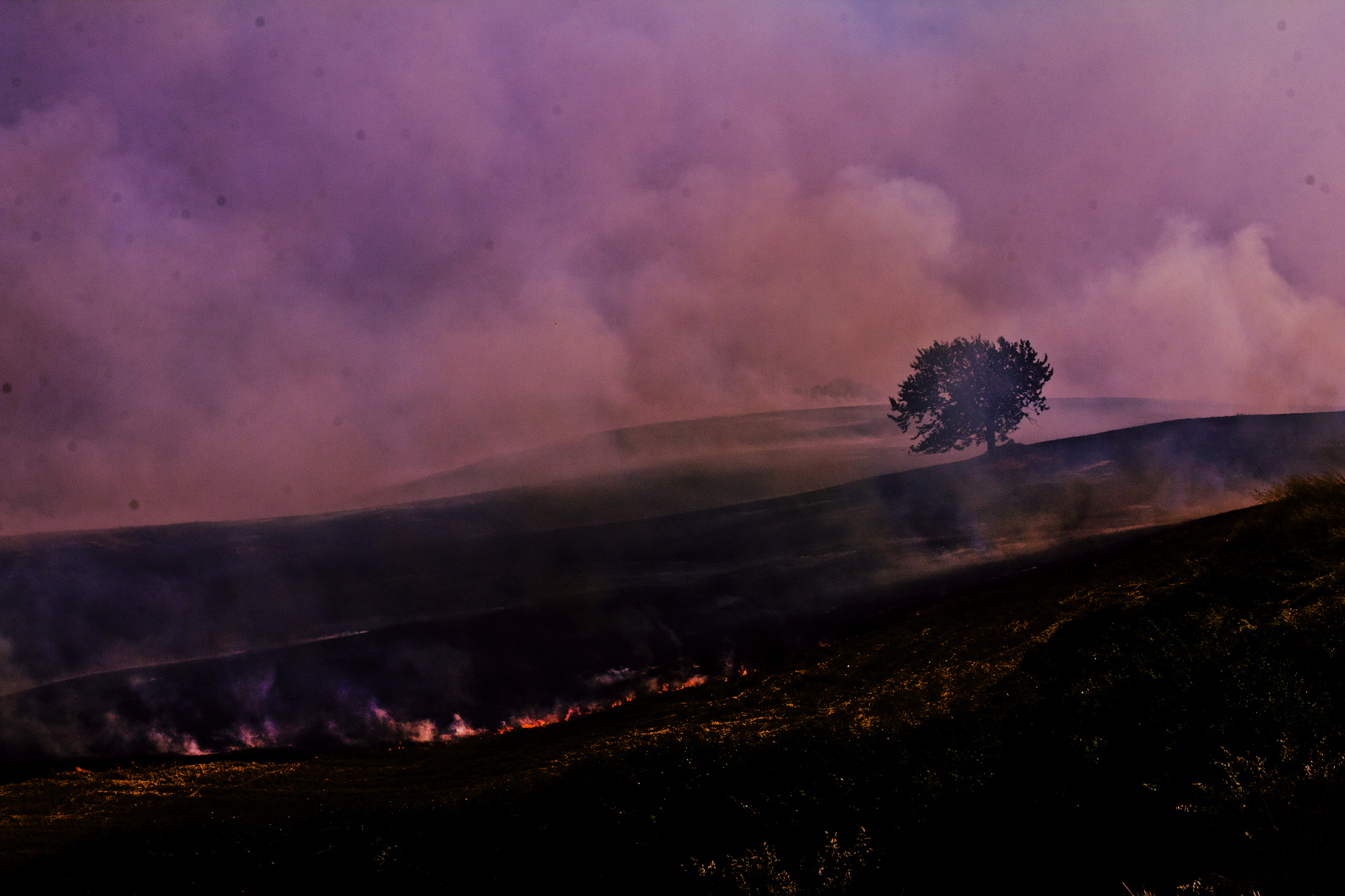 Una vita per crescere, pochi minuti per morire.