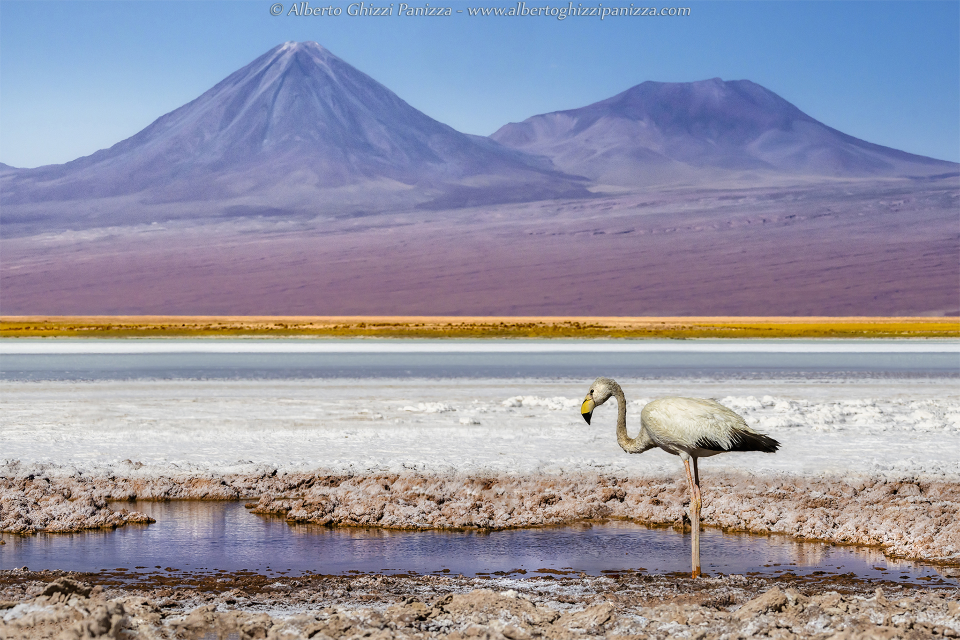 Among flamingos and volcanoes