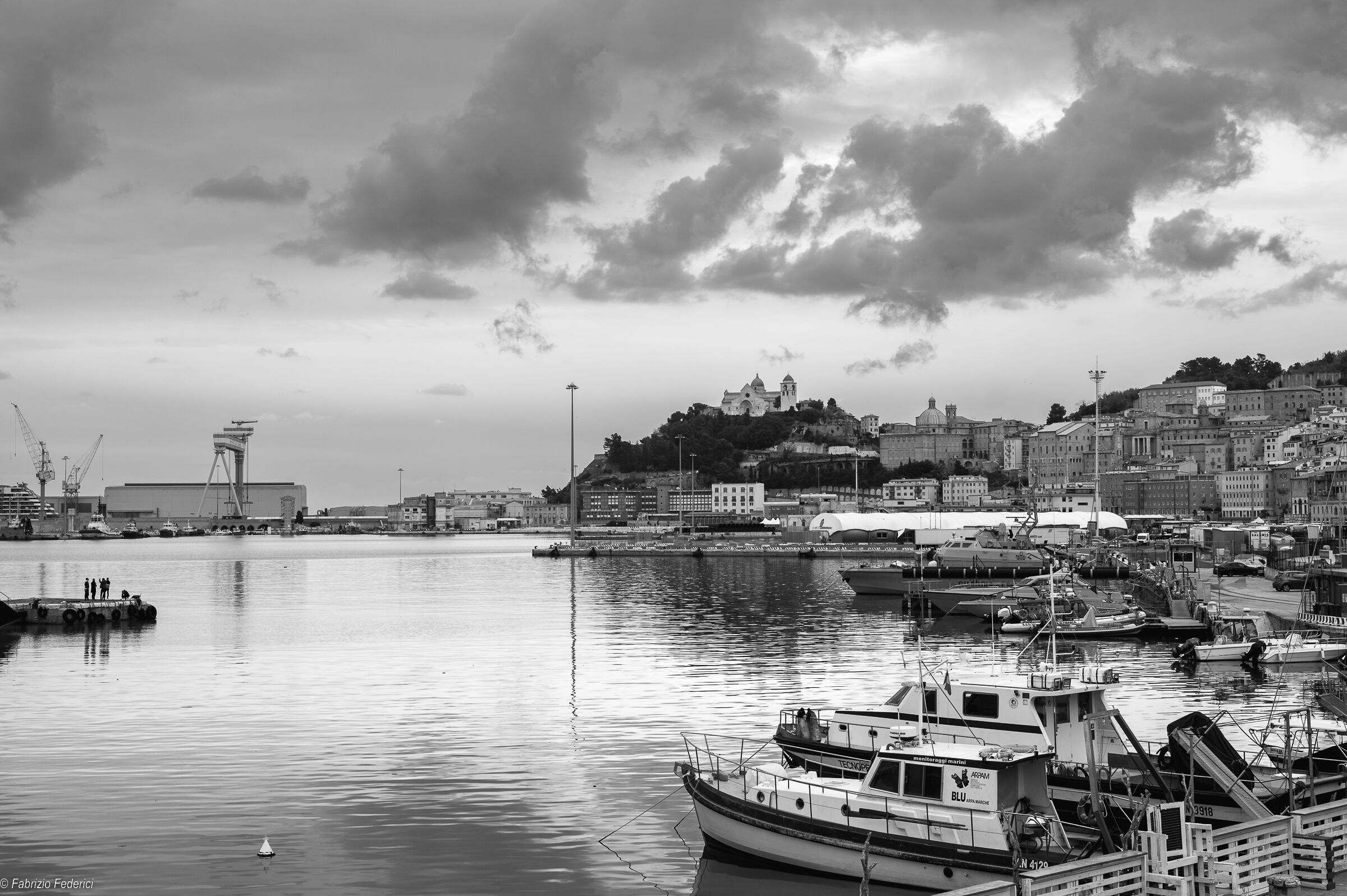 Ancona in black and white