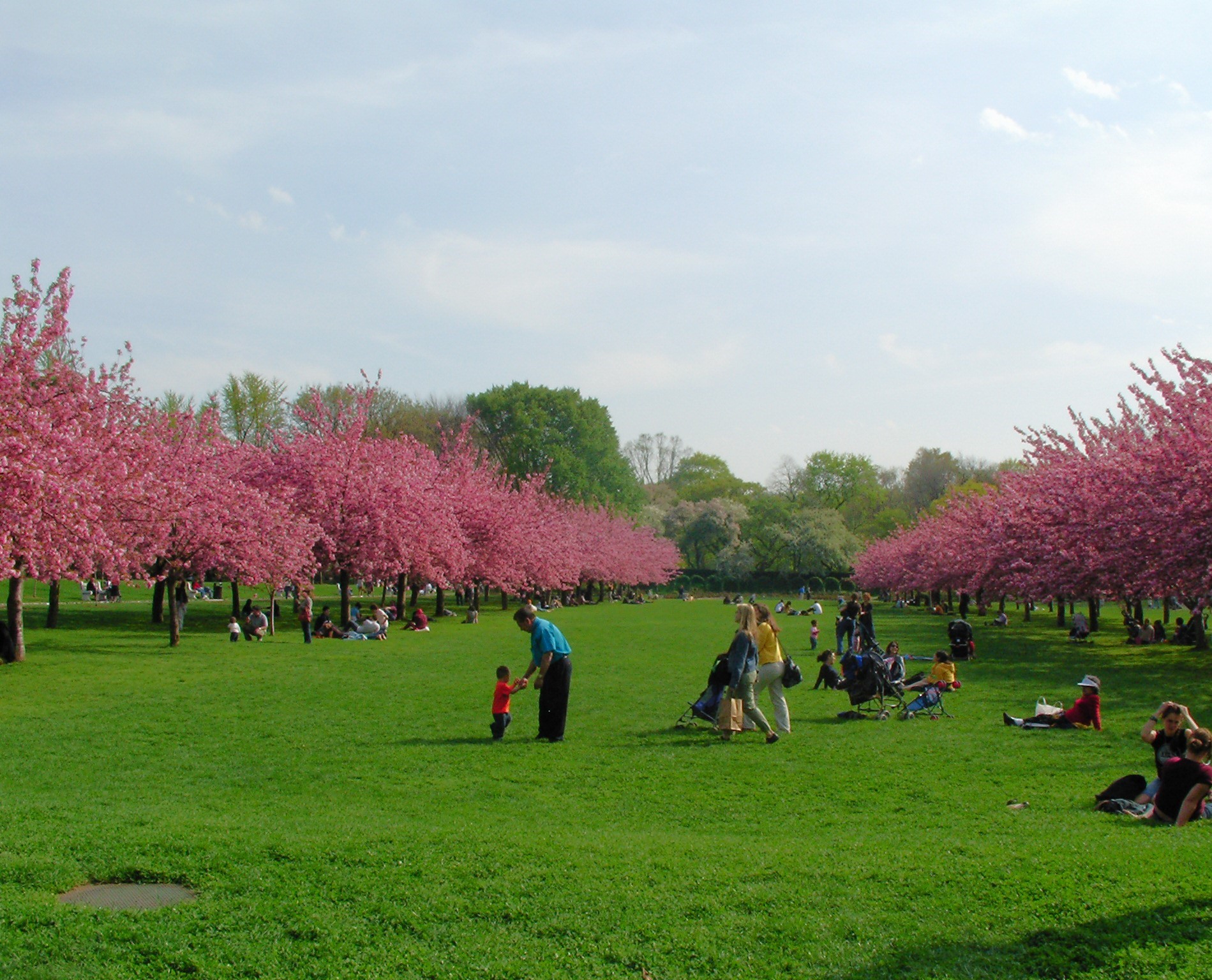 Un giorno qualunque a Brooklyn