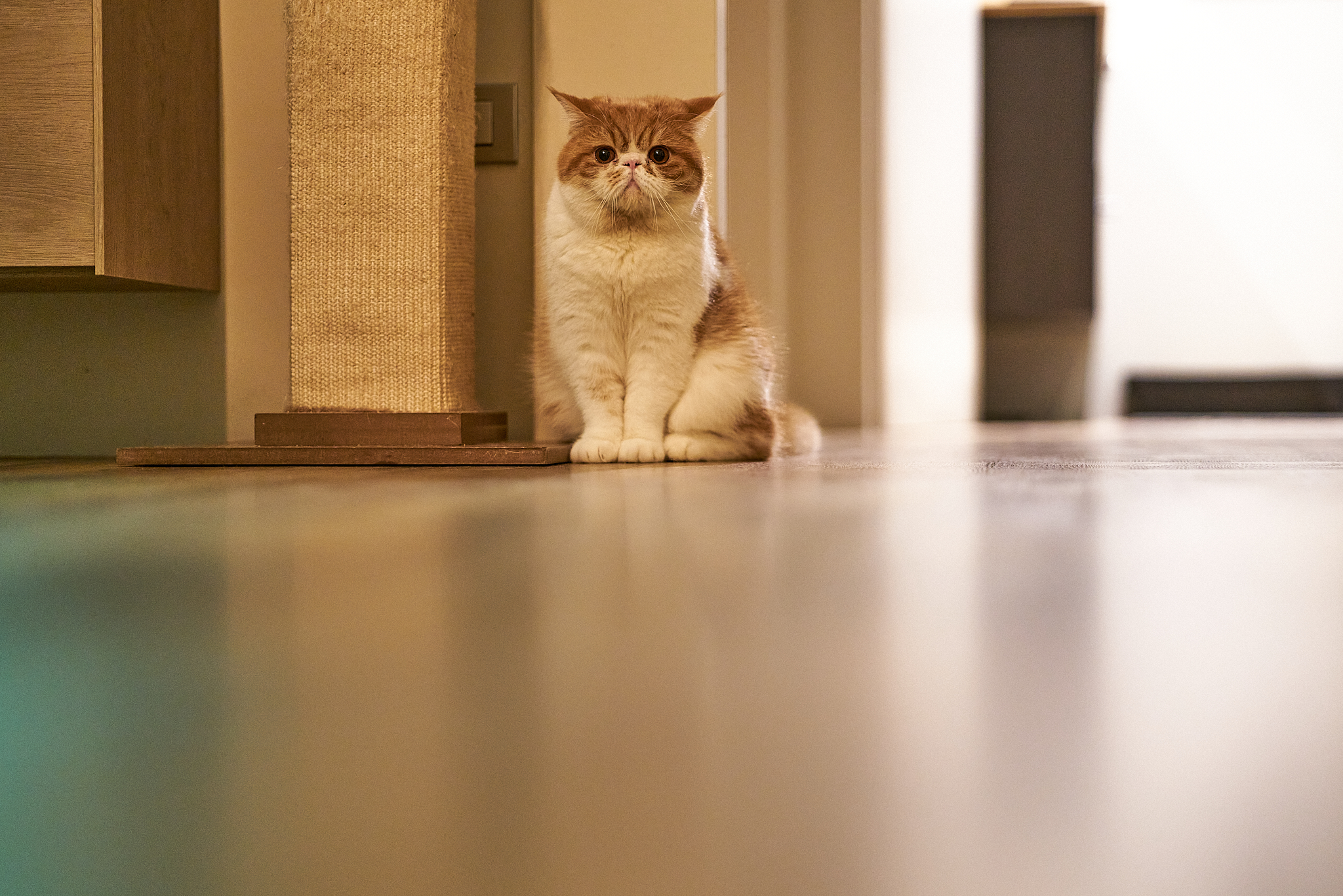 on attention