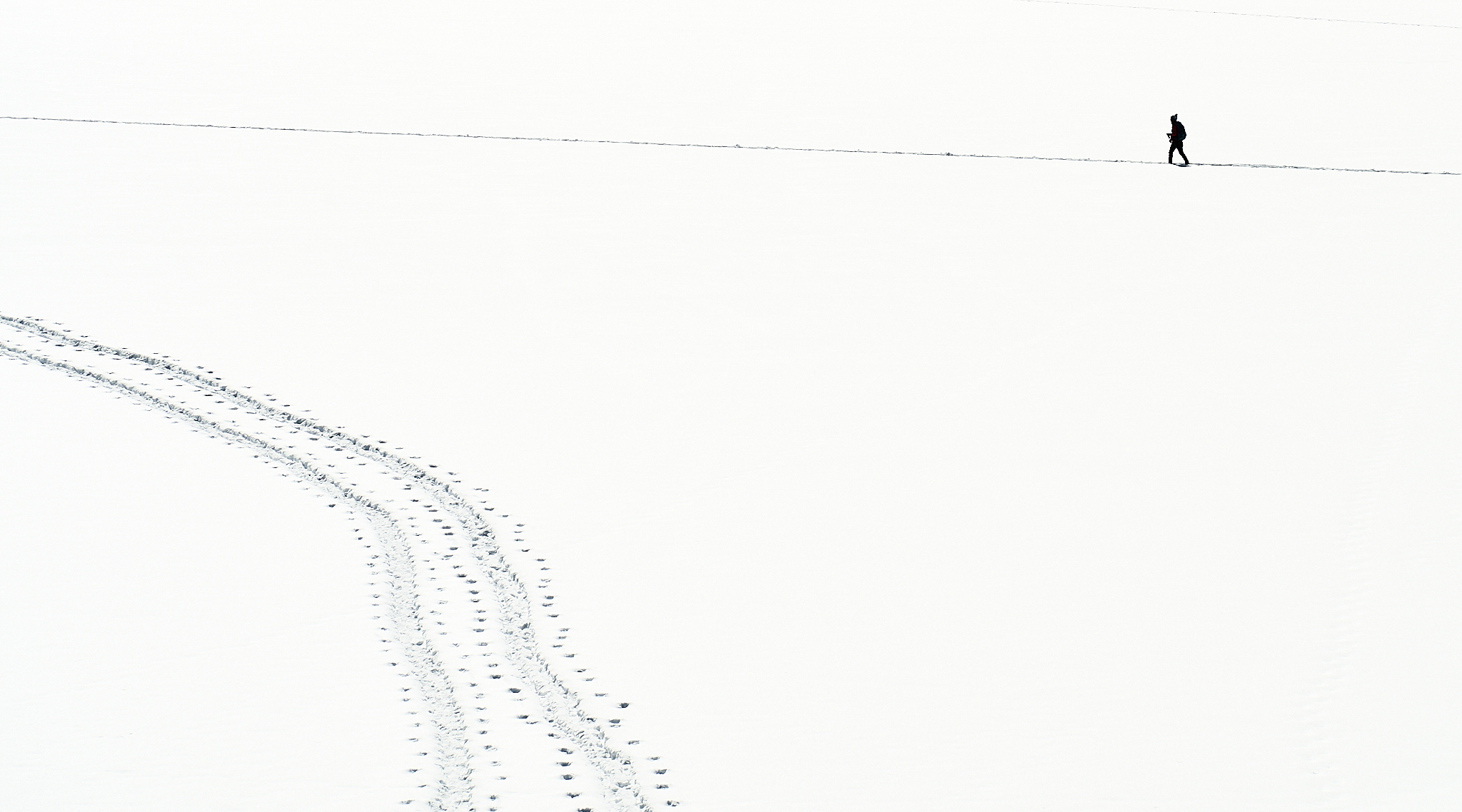 Tracks